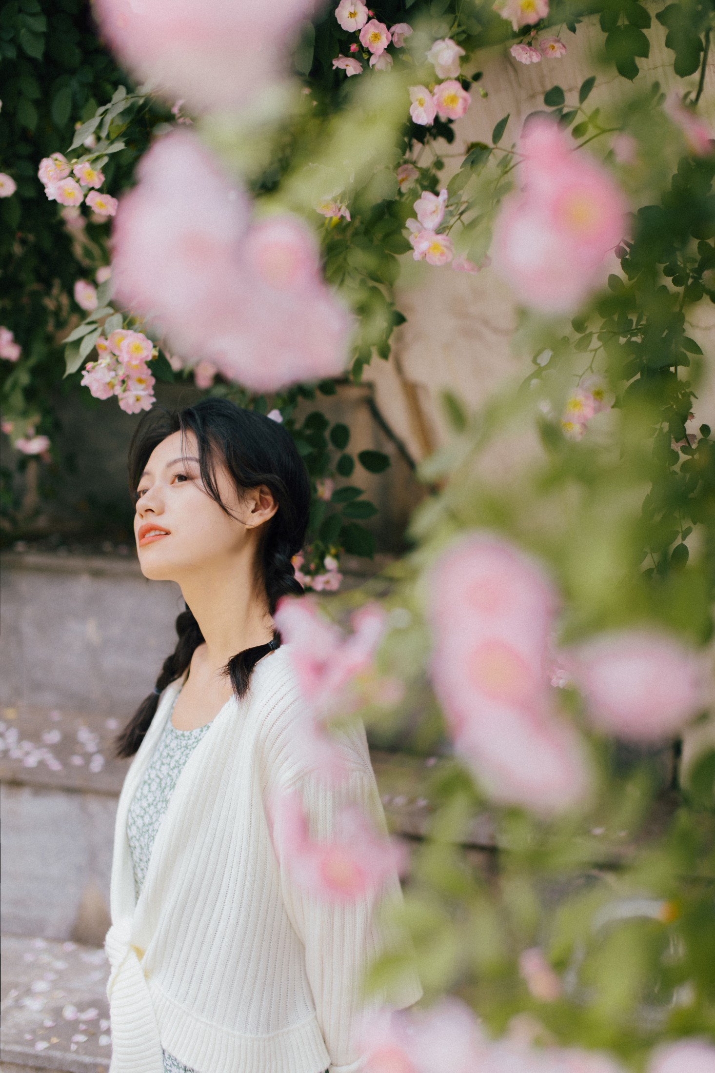 图片[7] - 九月 - 《蔷薇》[27P] - 机器猫次元 - 机器猫次元