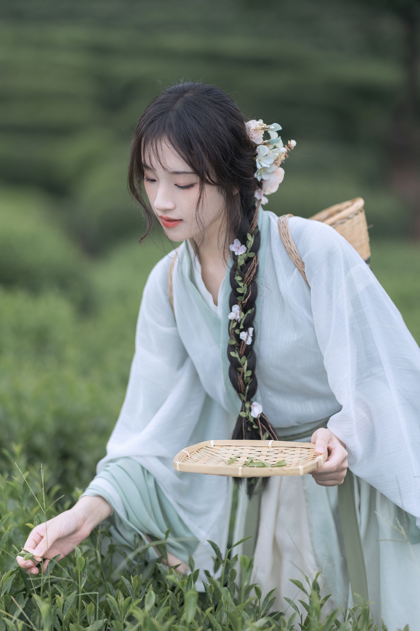 图片[6] - 方莛玉 - 《采茶纪》[54P] - 机器猫次元 - 机器猫次元