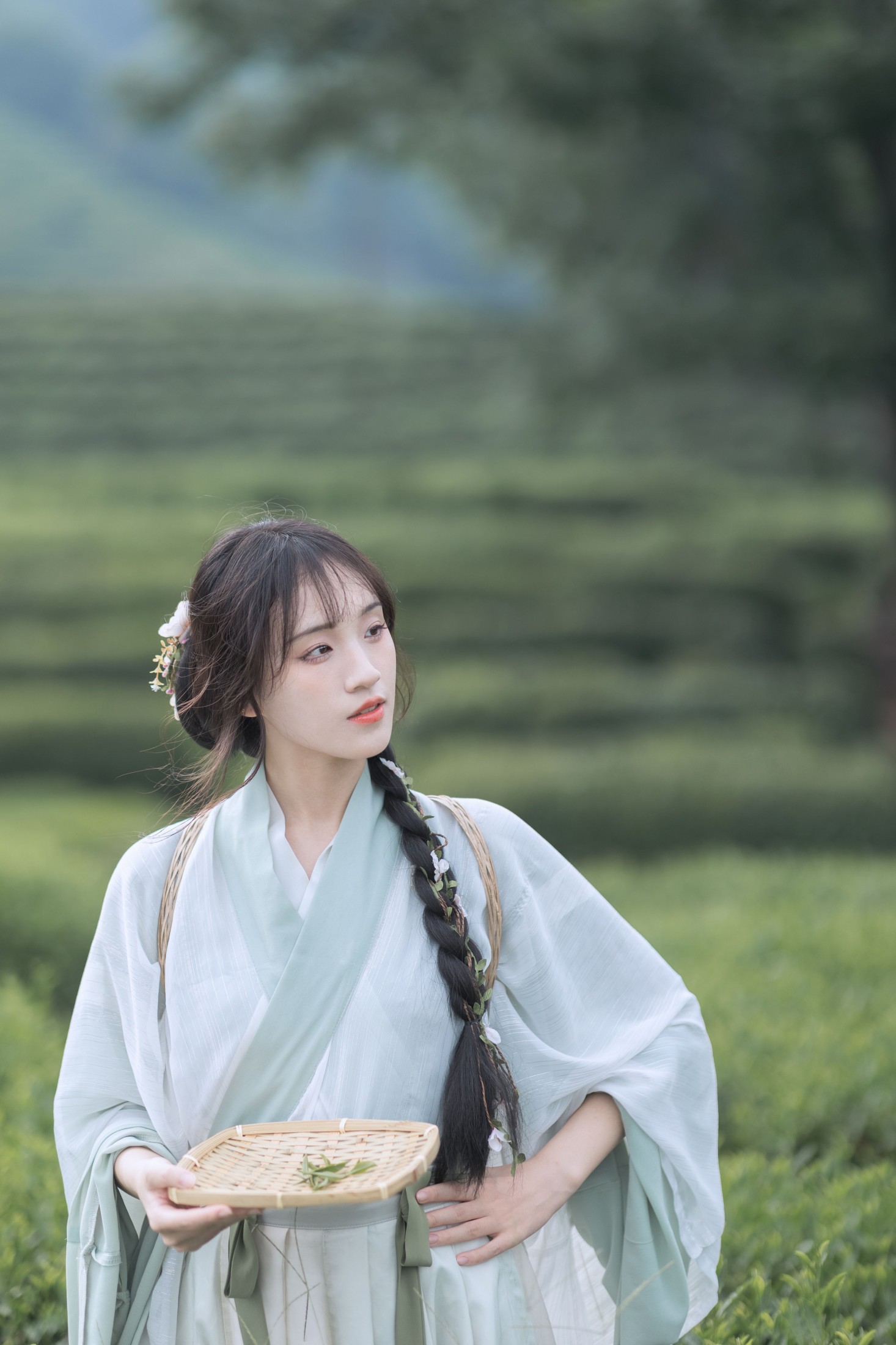 图片[4] - 方莛玉 - 《采茶纪》[54P] - 机器猫次元 - 机器猫次元