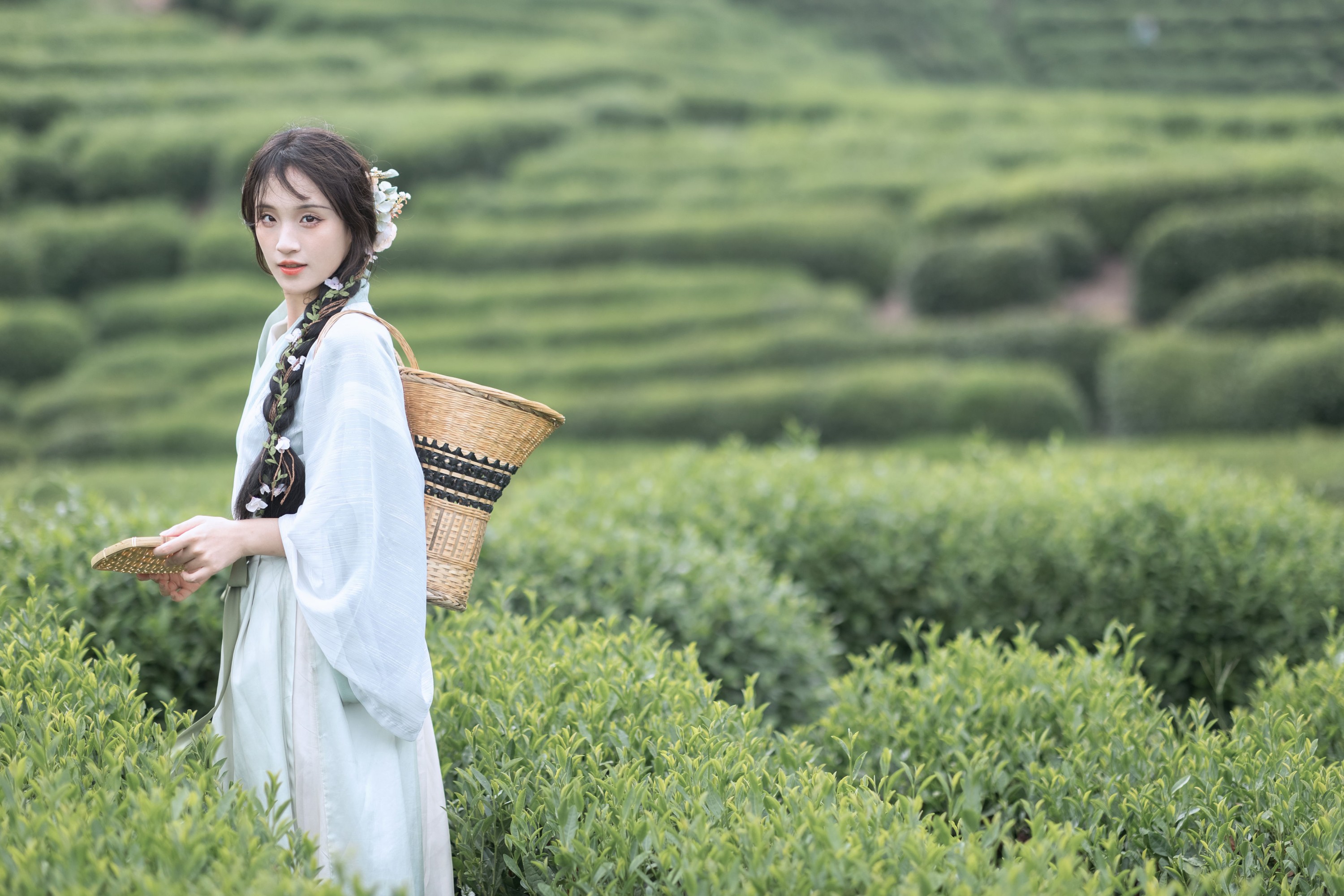 图片[5] - 方莛玉 - 《采茶纪》[54P] - 机器猫次元 - 机器猫次元