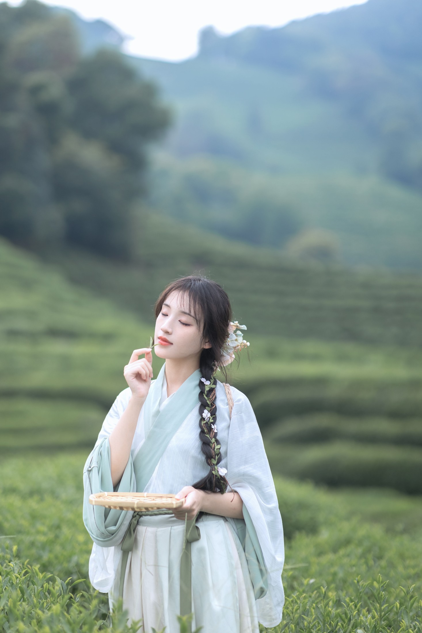 图片[8] - 方莛玉 - 《采茶纪》[54P] - 机器猫次元 - 机器猫次元