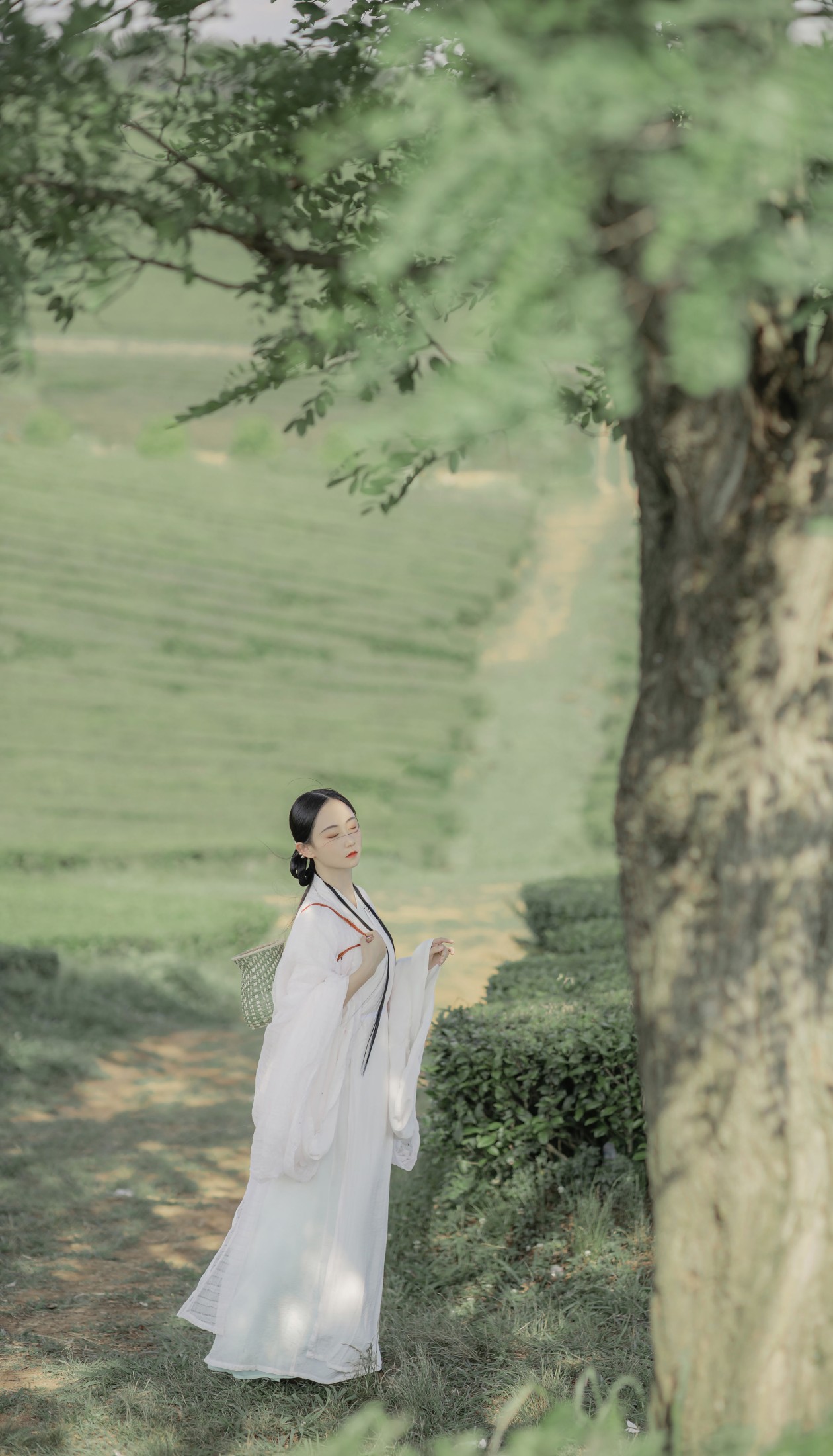 图片[6] - 灿暖暖暖 - 《衣袖染茶香》[20P] - 机器猫次元 - 机器猫次元