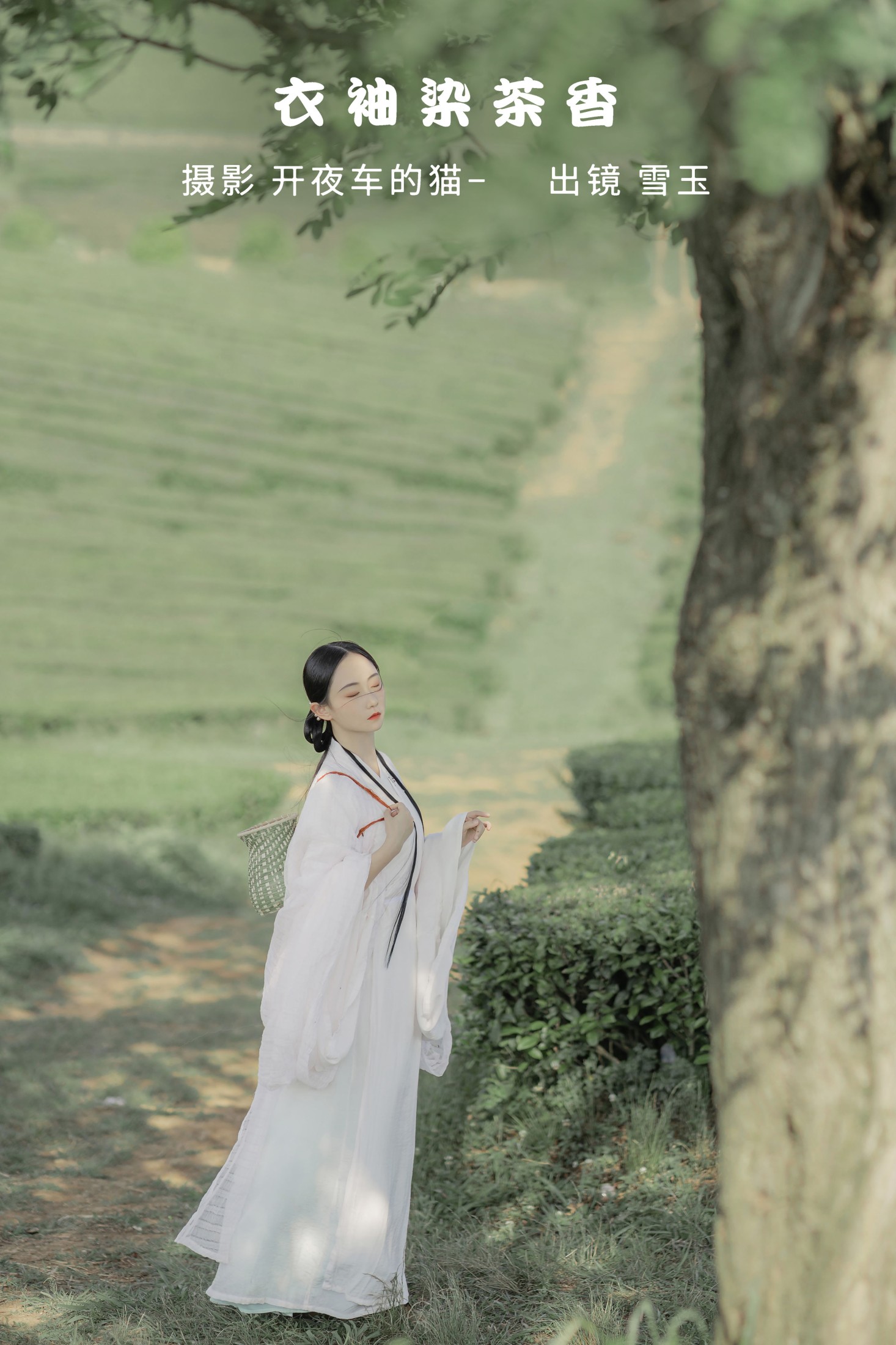 图片[1] - 灿暖暖暖 - 《衣袖染茶香》[20P] - 机器猫次元 - 机器猫次元
