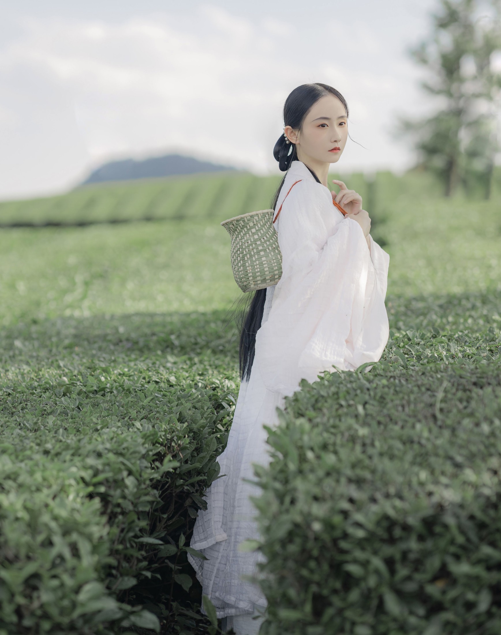 图片[3] - 灿暖暖暖 - 《衣袖染茶香》[20P] - 机器猫次元 - 机器猫次元