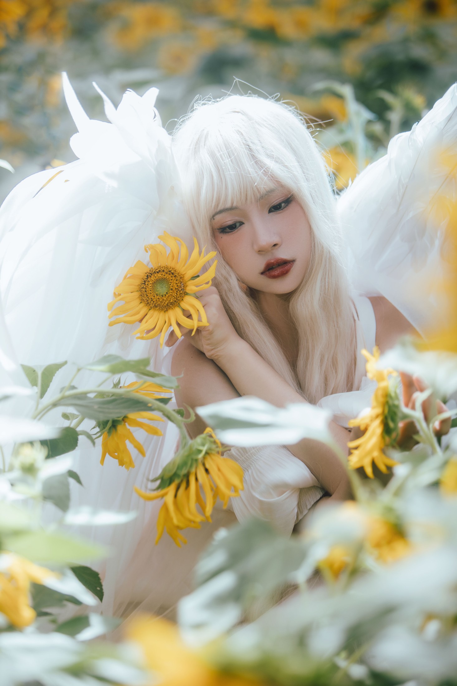 图片[8] - 双翮 - 《孤鸟》[21P] - 机器猫次元 - 机器猫次元