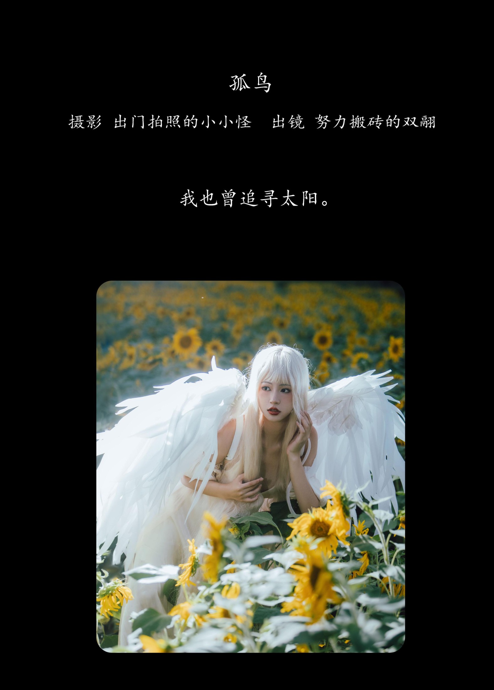 图片[2] - 双翮 - 《孤鸟》[21P] - 机器猫次元 - 机器猫次元