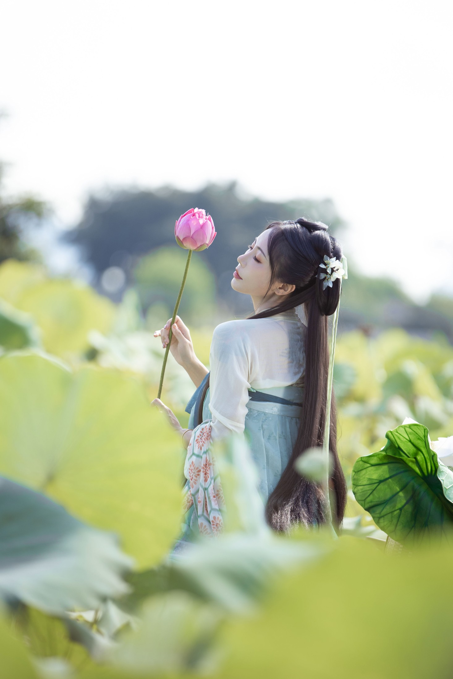 图片[7] - 酸辣粉 - 《荷芰》[31P] - 机器猫次元 - 机器猫次元