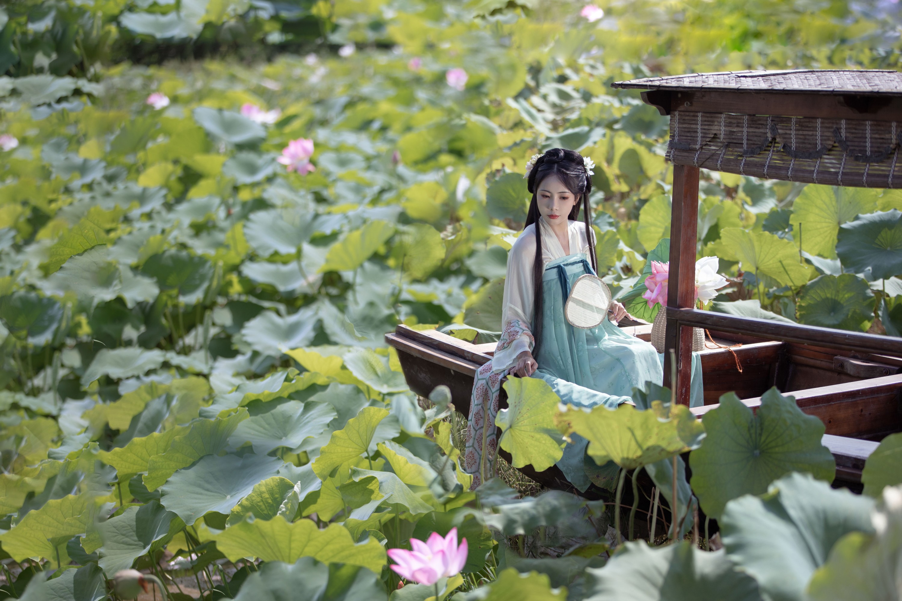 图片[3] - 酸辣粉 - 《荷芰》[31P] - 机器猫次元 - 机器猫次元