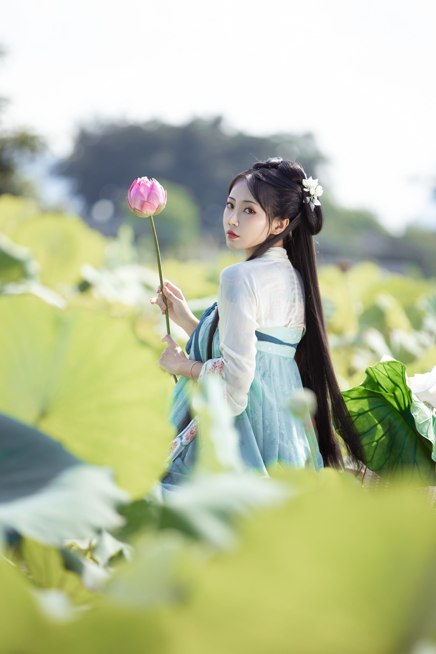 图片[8] - 酸辣粉 - 《荷芰》[31P] - 机器猫次元 - 机器猫次元