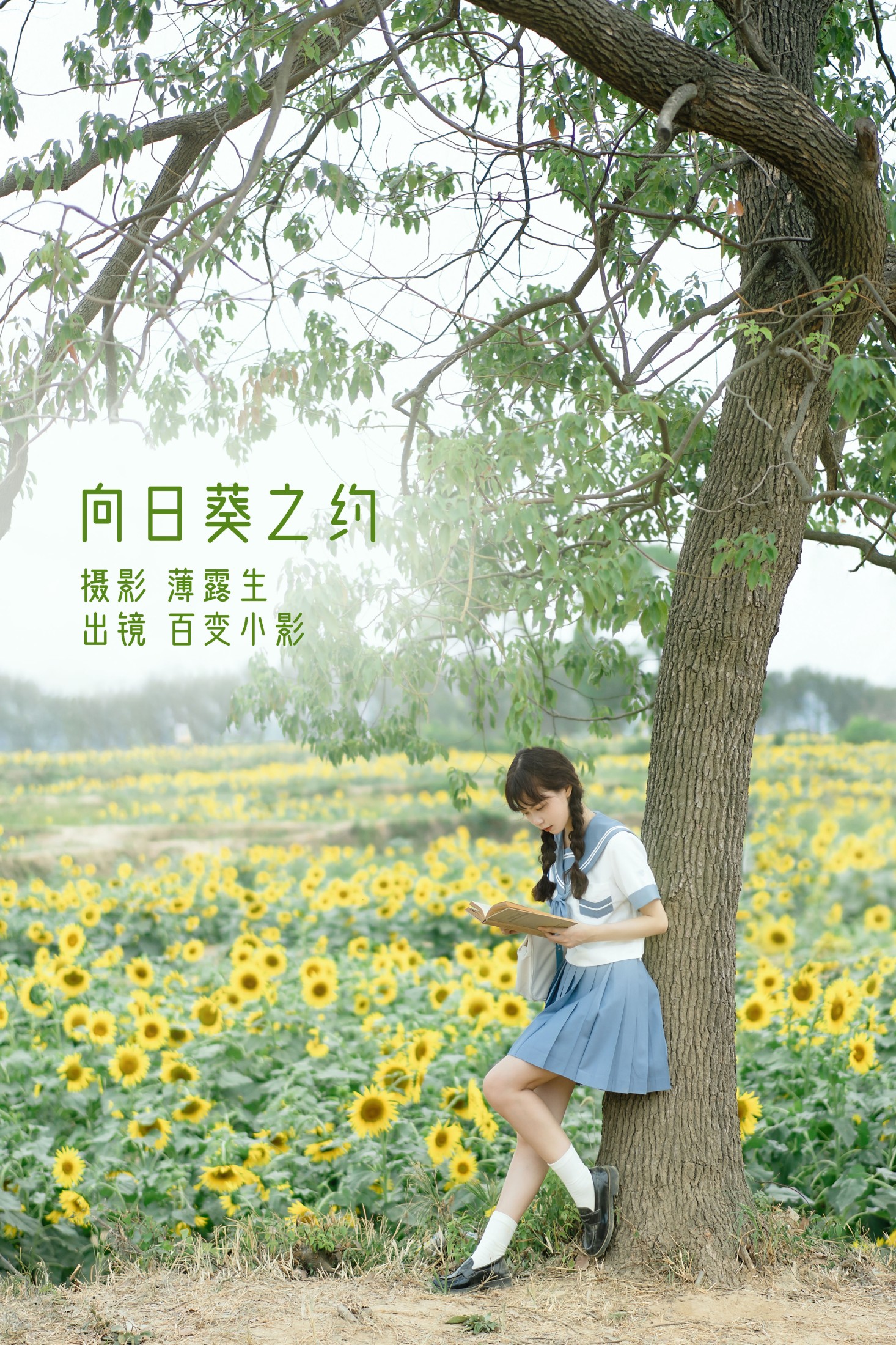 图片[1] - 百变小影 - 《向日葵之约》[27P] - 机器猫次元 - 机器猫次元