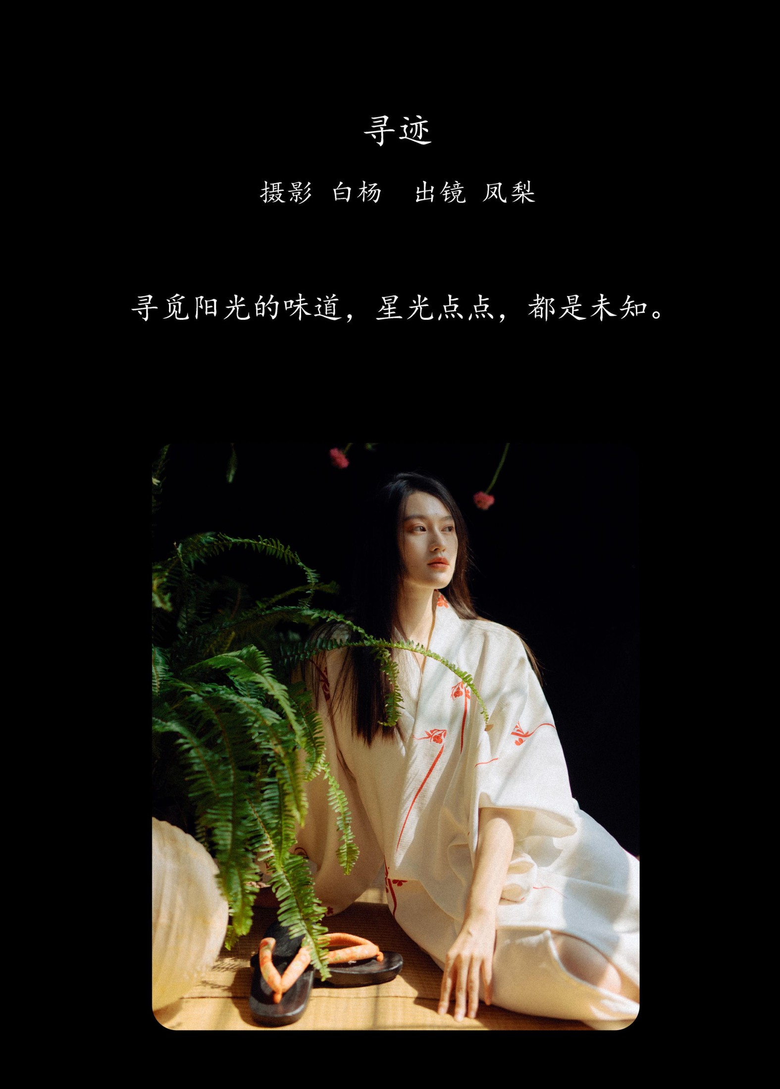 图片[2] - 一颗凤梨 - 《寻迹》[23P] - 机器猫次元 - 机器猫次元