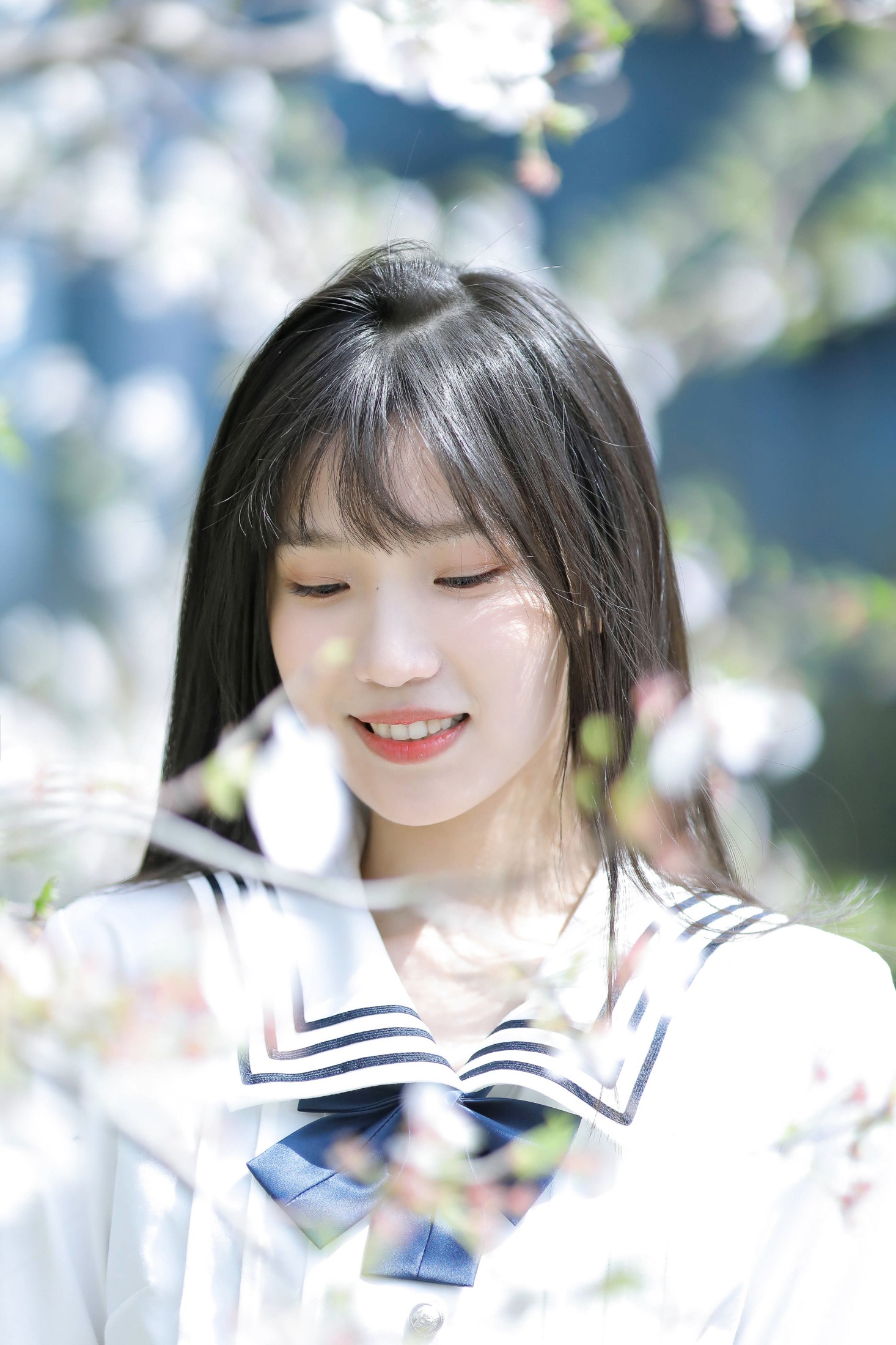 图片[3] - echo - 《春日樱花》[29P] - 机器猫次元 - 机器猫次元