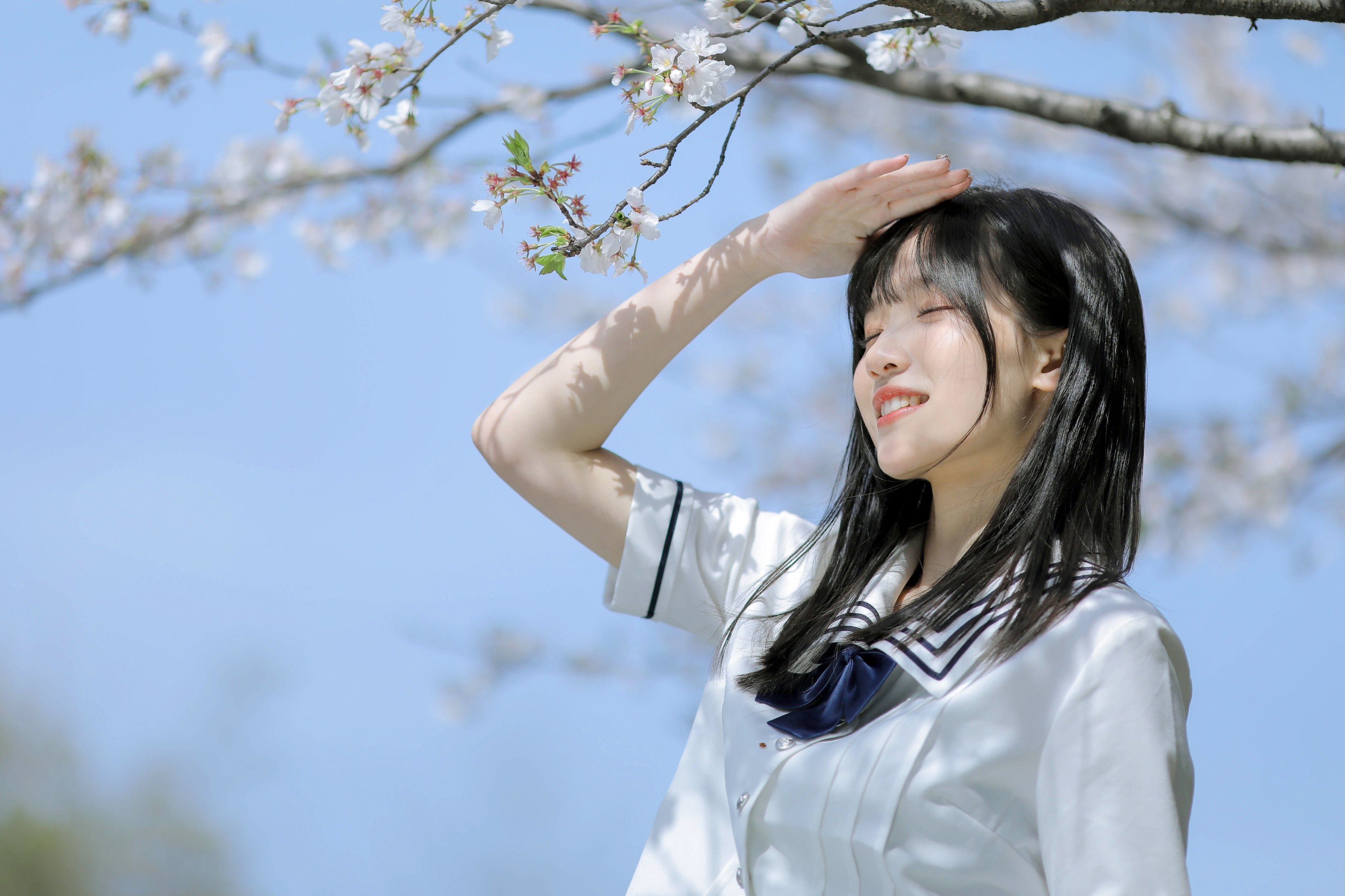 图片[6] - echo - 《春日樱花》[29P] - 机器猫次元 - 机器猫次元