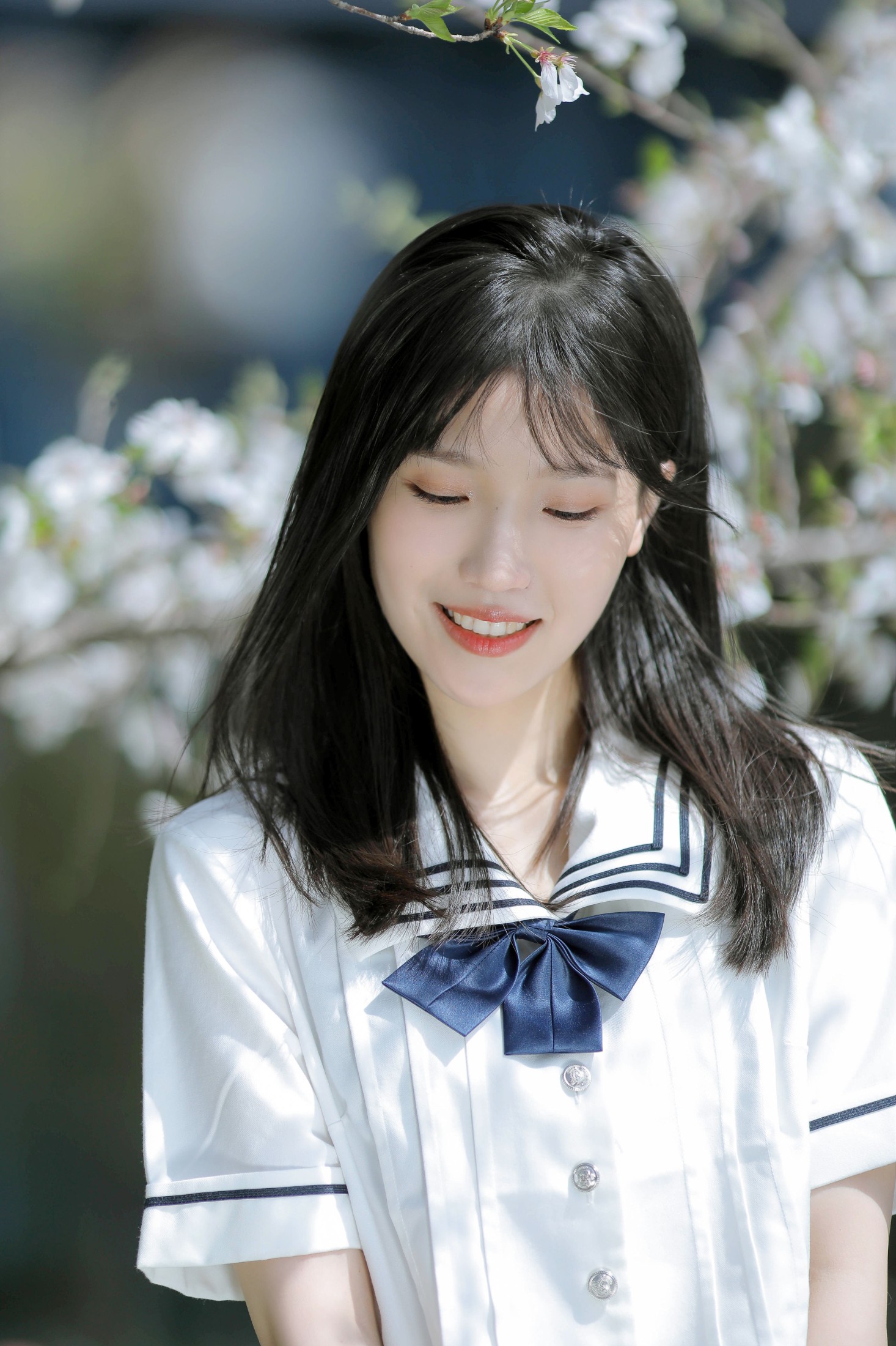 图片[4] - echo - 《春日樱花》[29P] - 机器猫次元 - 机器猫次元