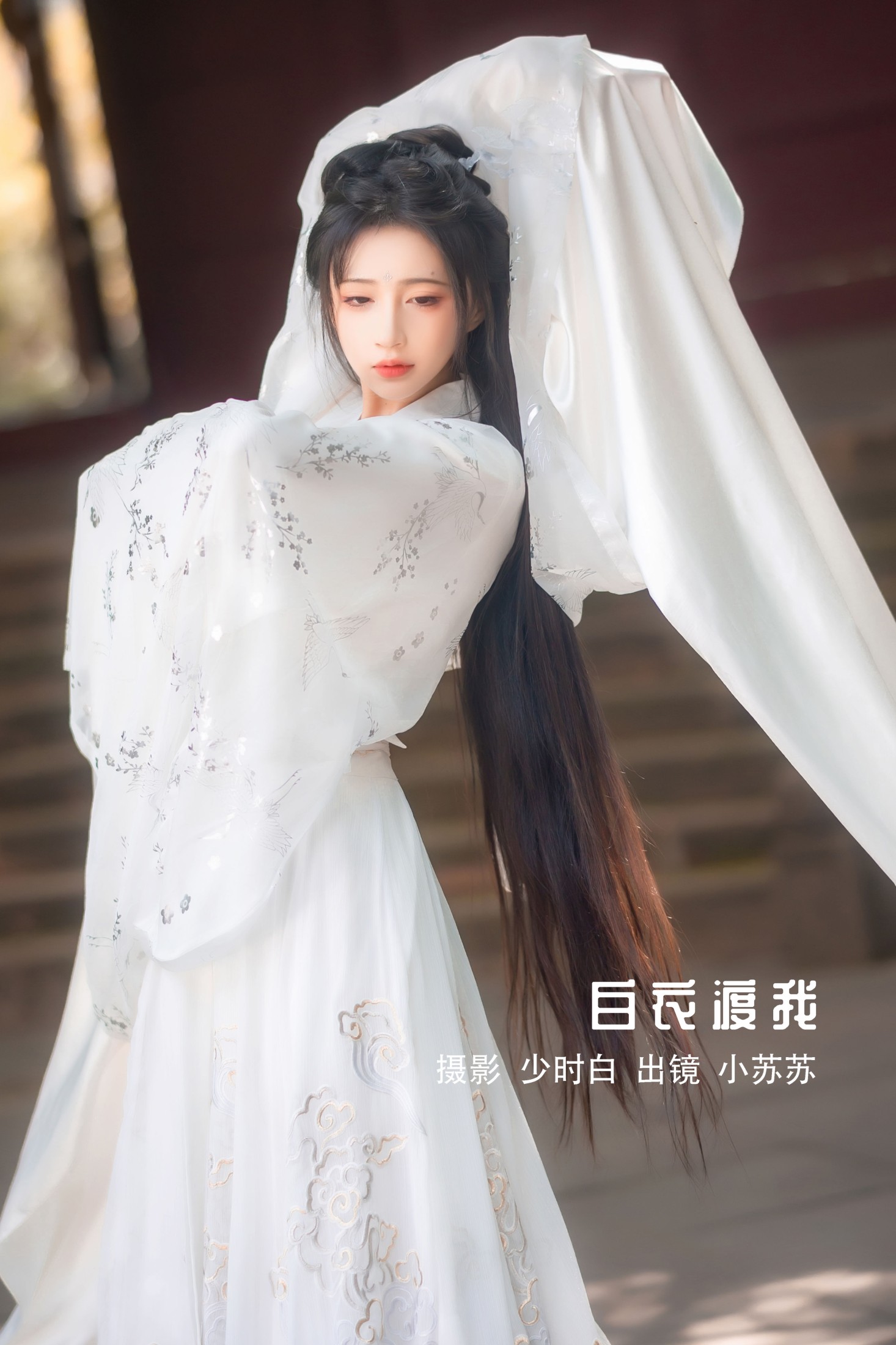 图片[1] - 绮罗生的小苏苏 - 《白衣渡我》[34P] - 机器猫次元 - 机器猫次元