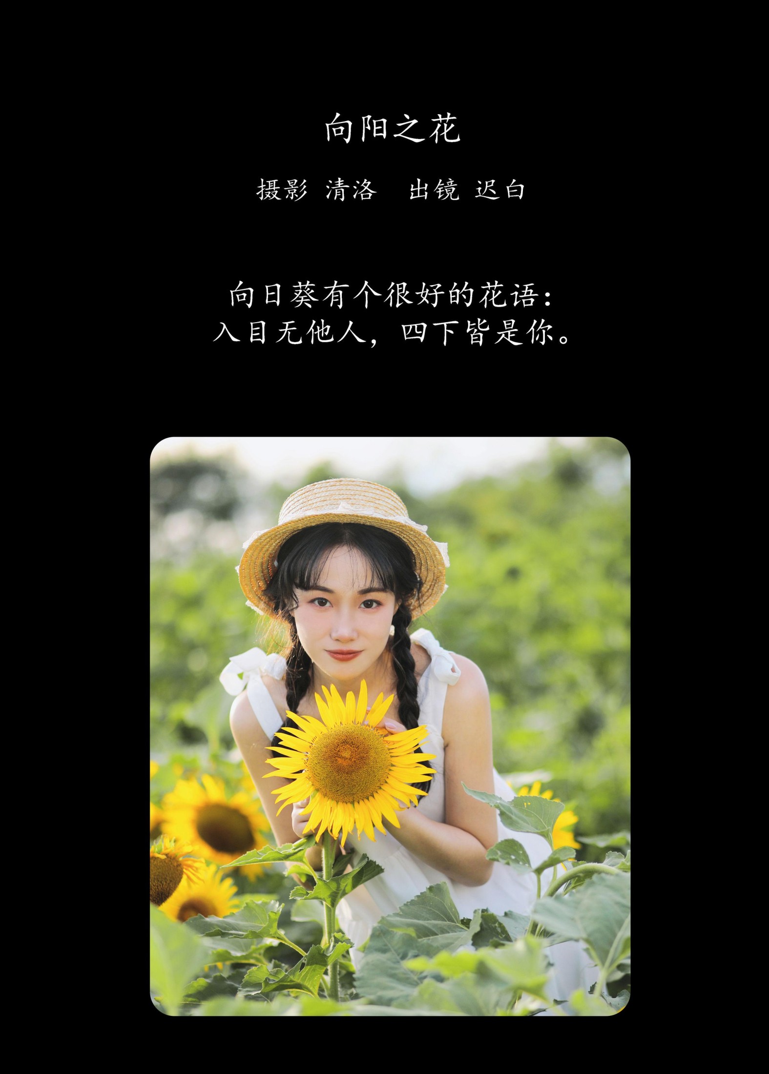 图片[2] - 迟白 - 《向阳之花》[36P] - 机器猫次元 - 机器猫次元