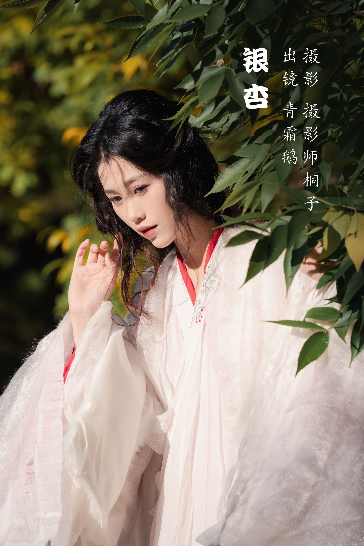 图片[1] - 青霜鹅 - 《银杏》[26P] - 机器猫次元 - 机器猫次元
