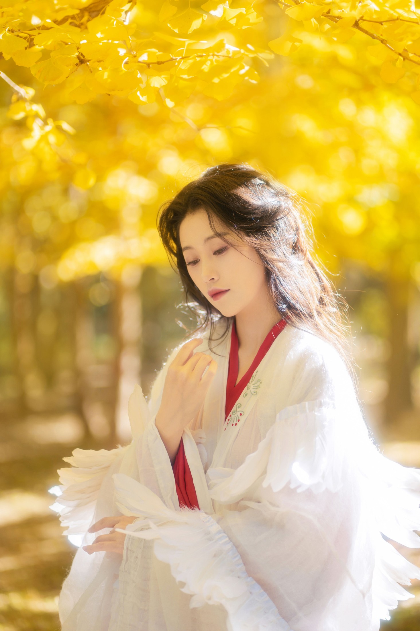 图片[8] - 青霜鹅 - 《银杏》[26P] - 机器猫次元 - 机器猫次元