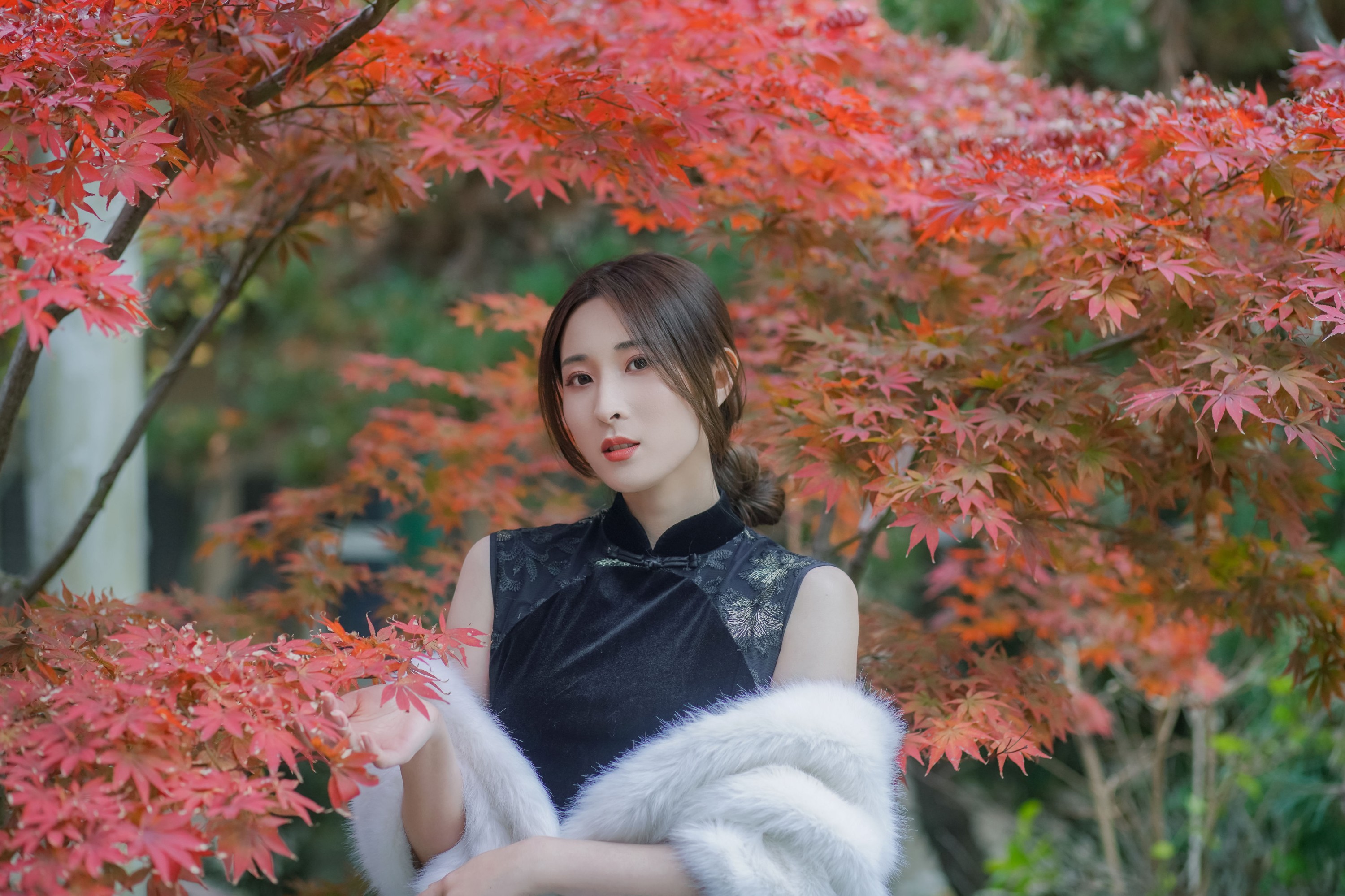 图片[5] - 阿音 - 《红枫》[23P] - 机器猫次元 - 机器猫次元