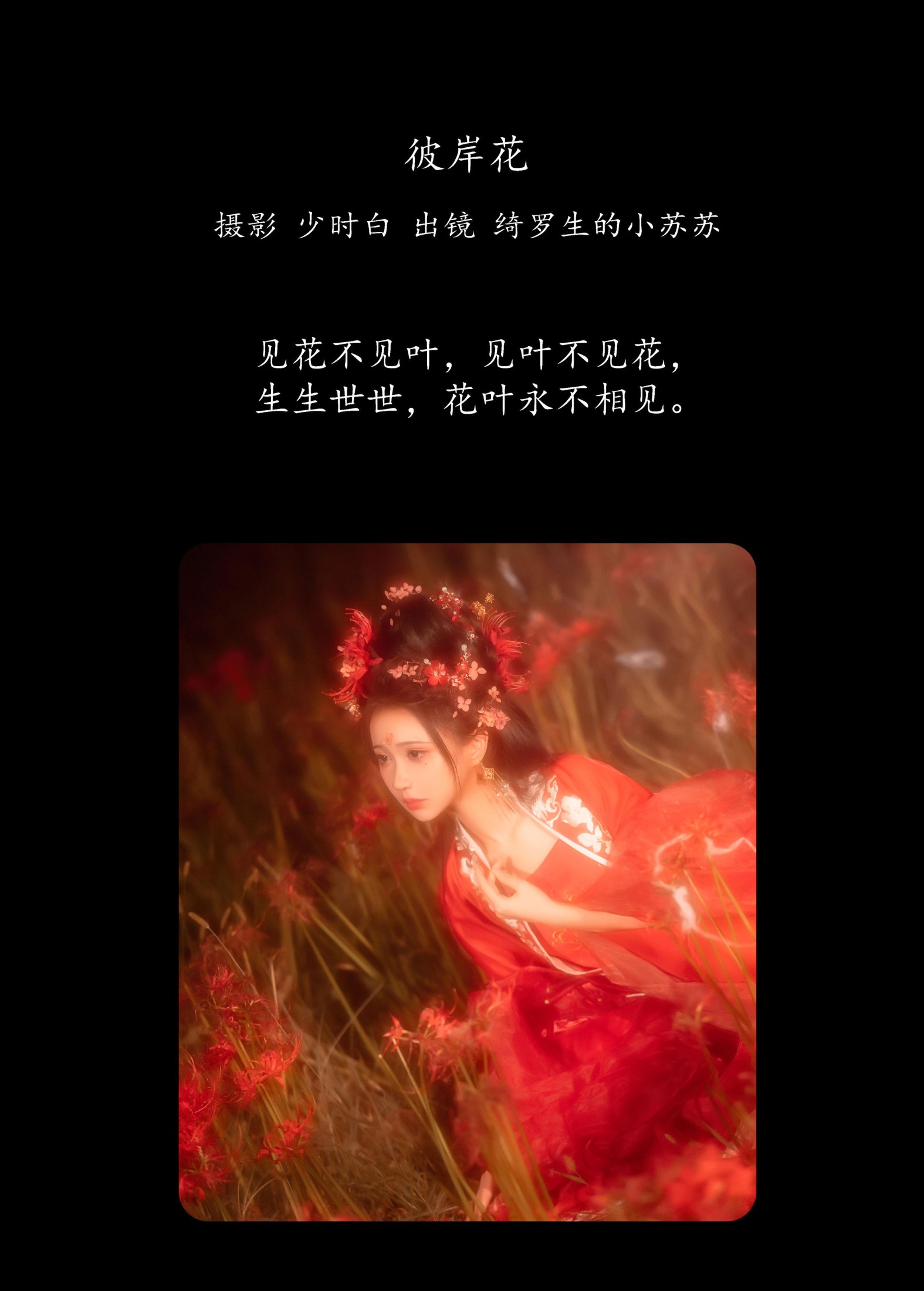 图片[2] - 绮罗生的小苏苏 - 《彼岸花》[32P] - 机器猫次元 - 机器猫次元