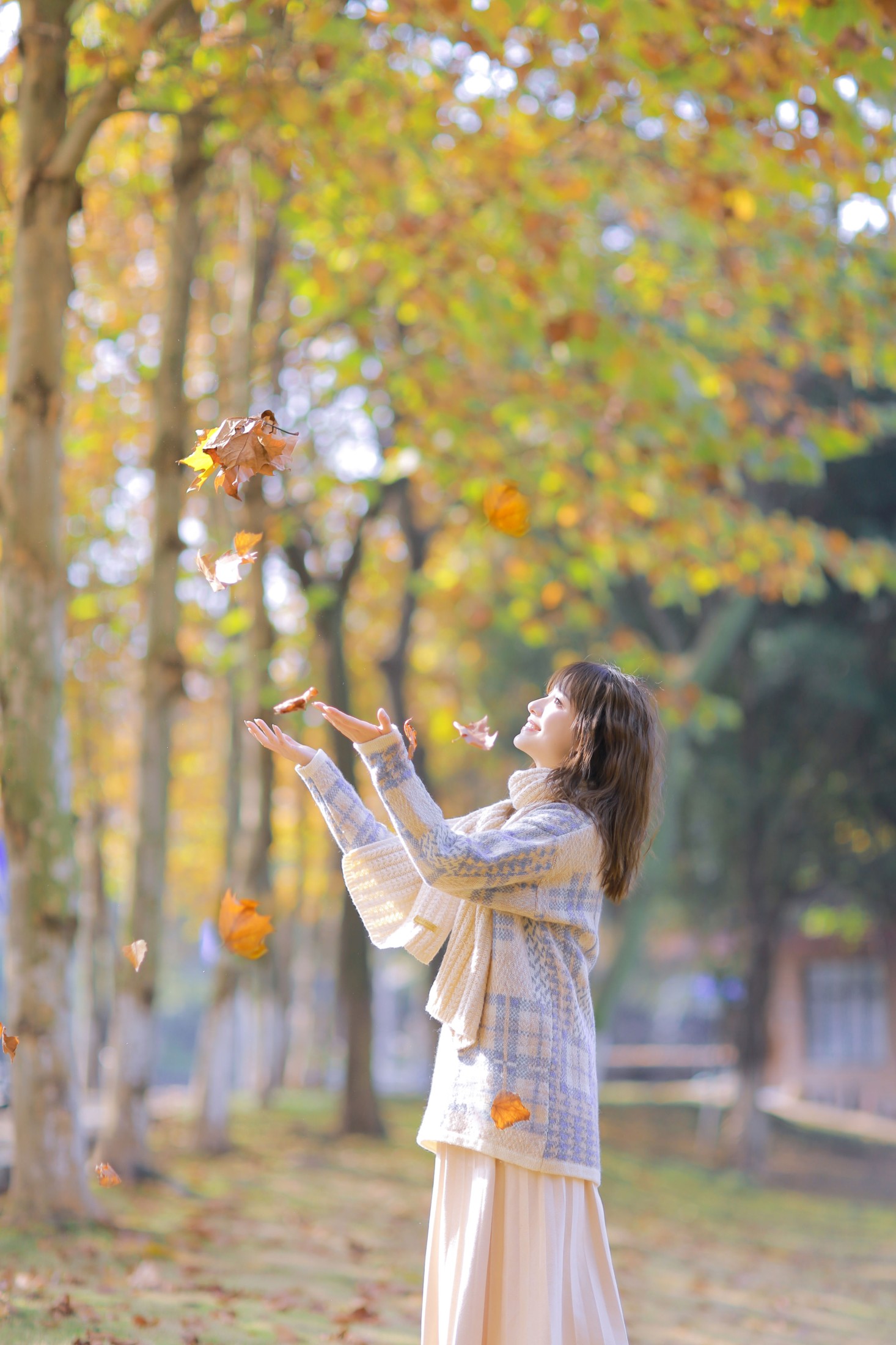 图片[3] - 阳曦 - 《秋日物语》[33P] - 机器猫次元 - 机器猫次元