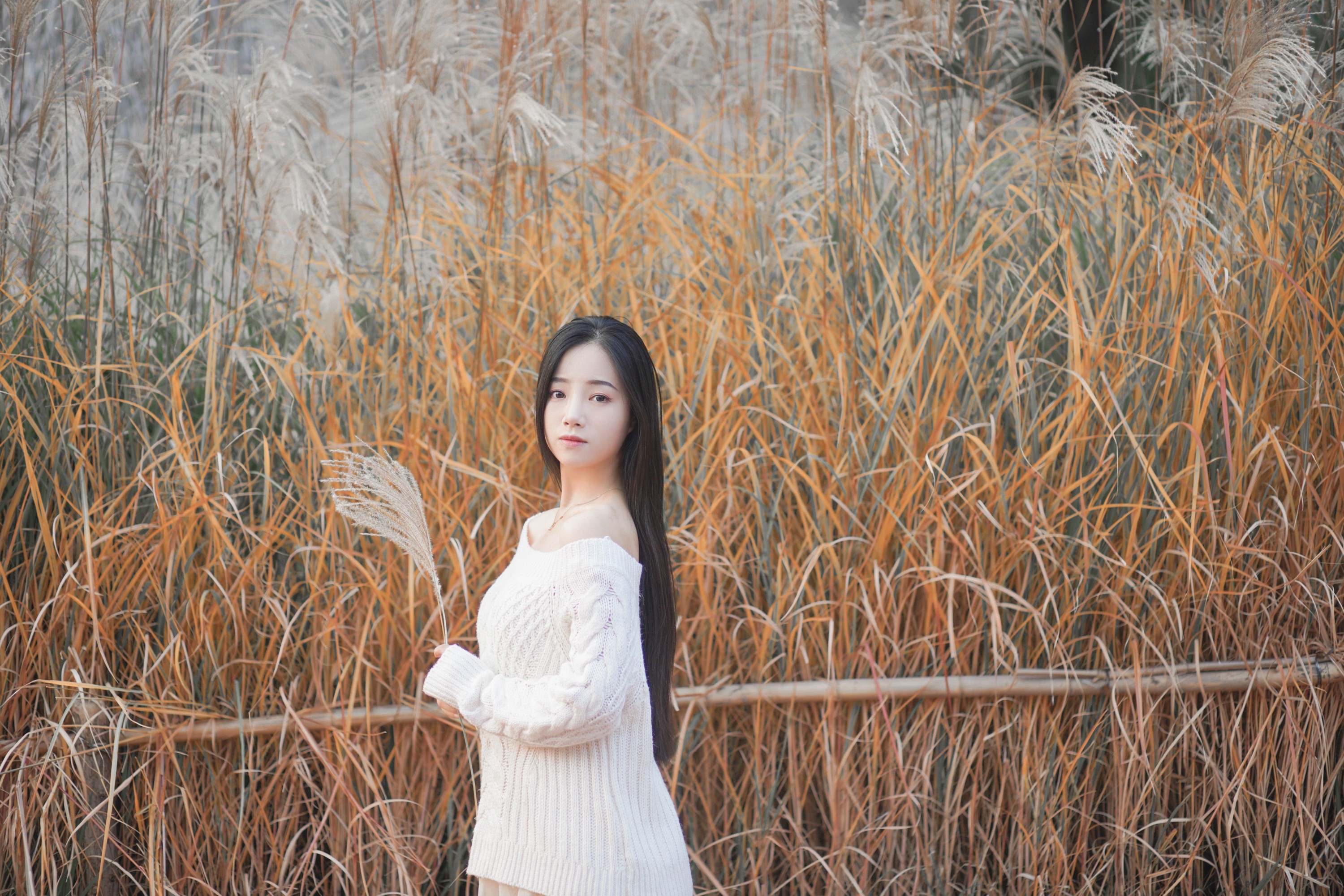 图片[8] - 兮兮 - 《藏在芦苇荡中的温柔》[26P] - 机器猫次元 - 机器猫次元
