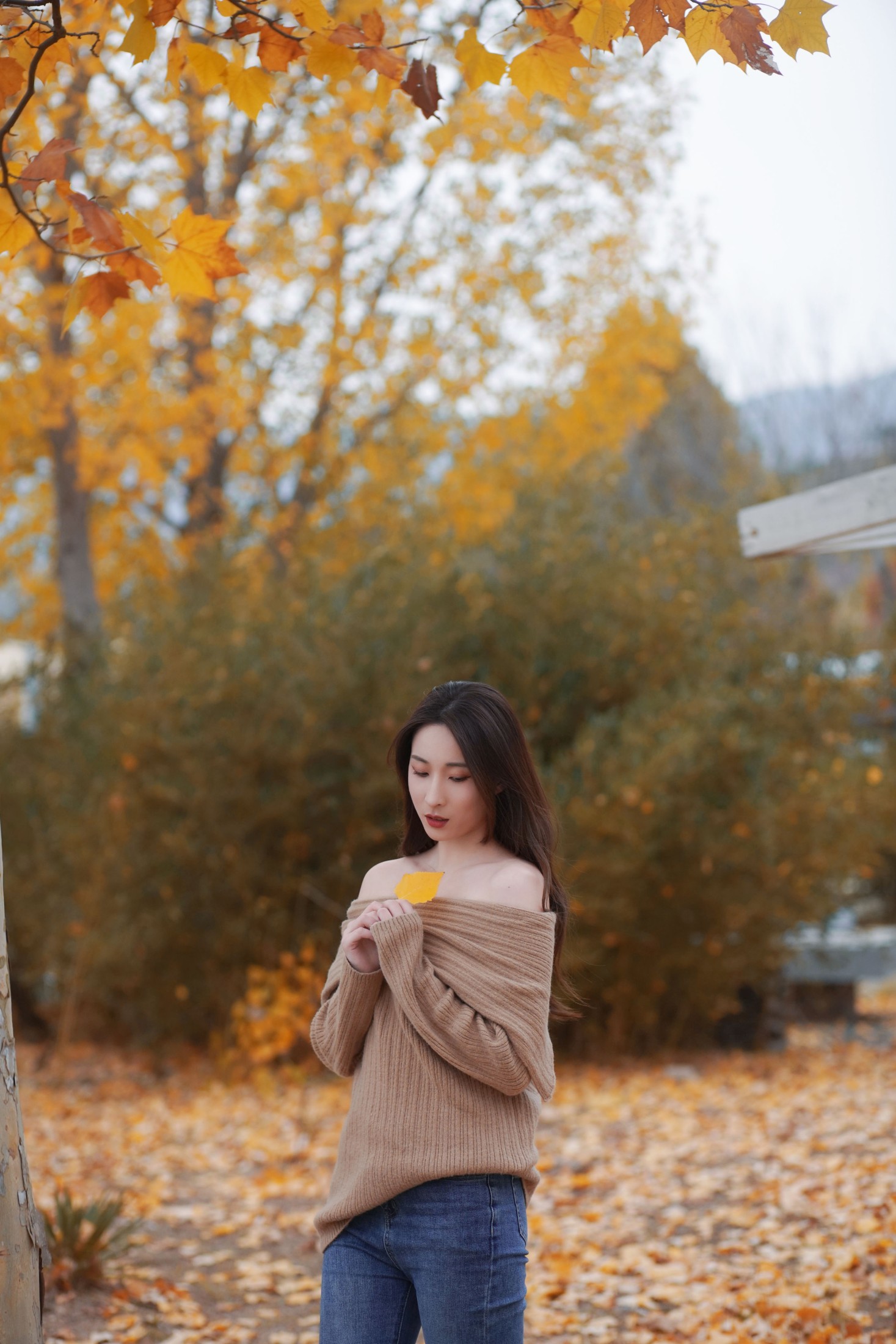 图片[6] - 阿音 - 《叶落知秋》[26P] - 机器猫次元 - 机器猫次元