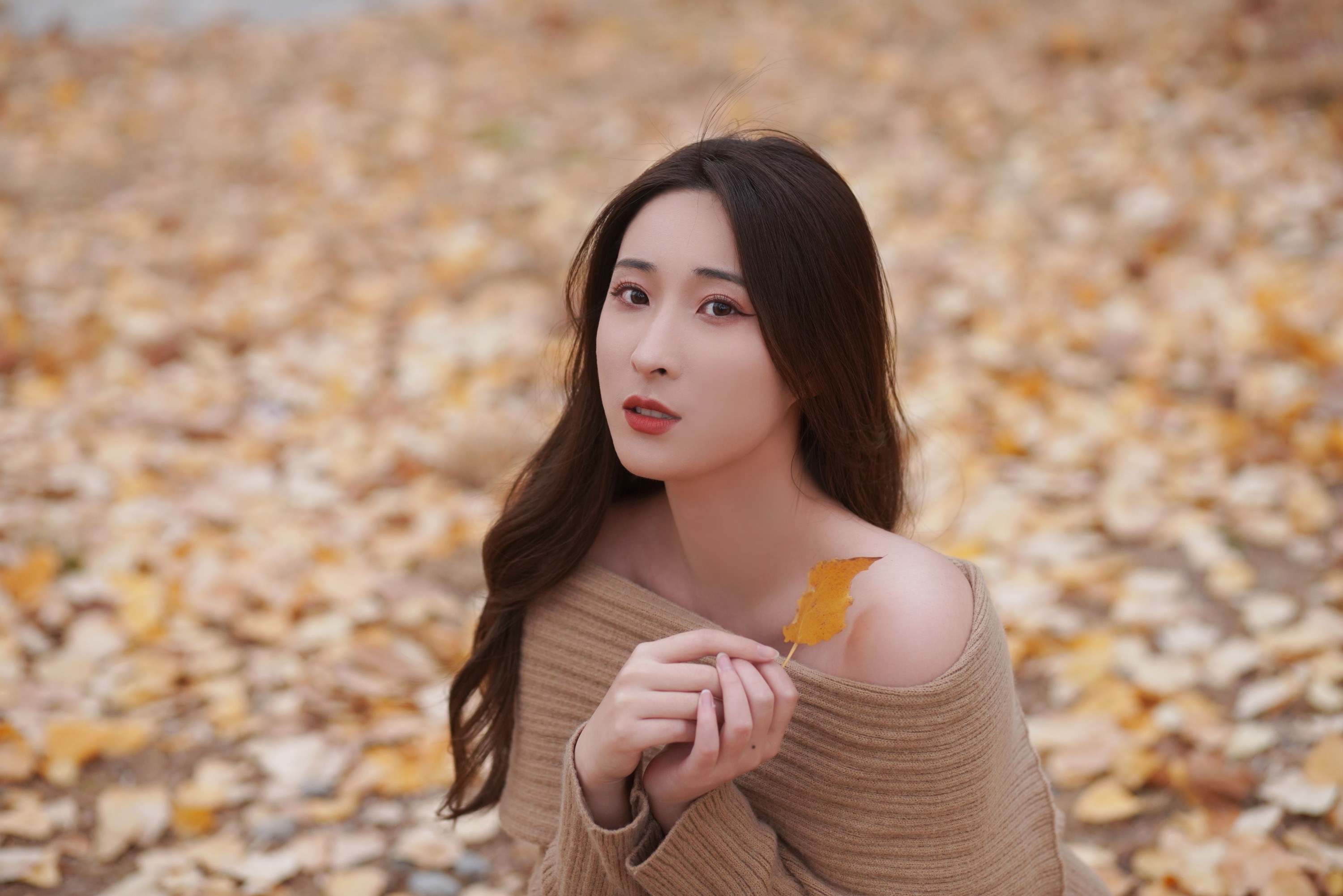 图片[5] - 阿音 - 《叶落知秋》[26P] - 机器猫次元 - 机器猫次元