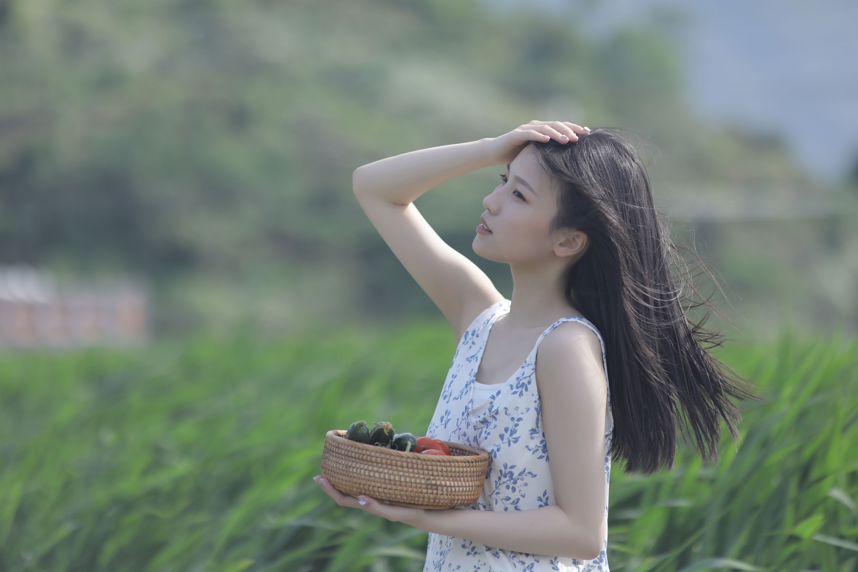 图片[7] - echo - 《稻香》[29P] - 机器猫次元 - 机器猫次元