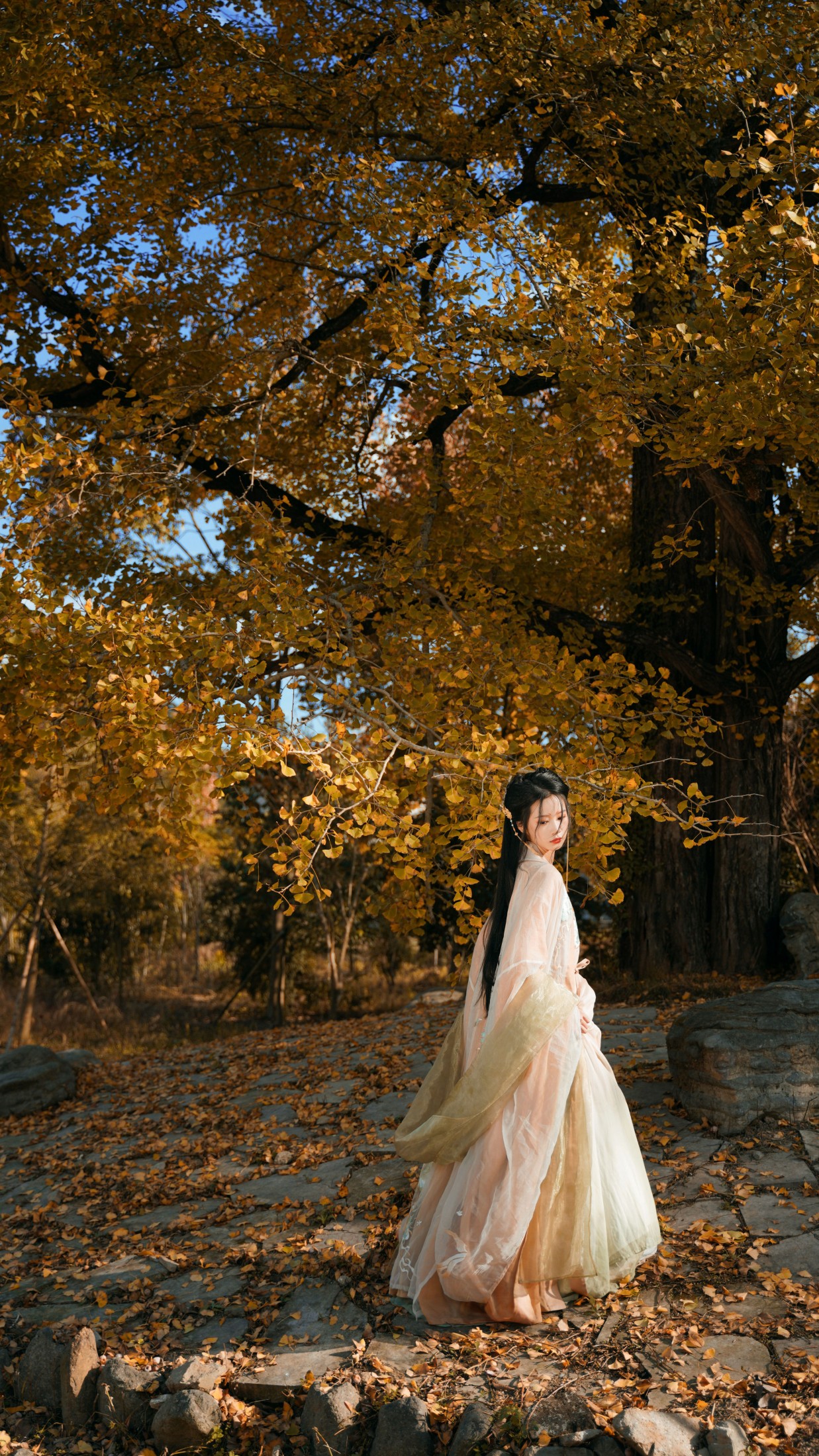 图片[5] - 橙子舒 - 《银杏树下》[39P] - 机器猫次元 - 机器猫次元