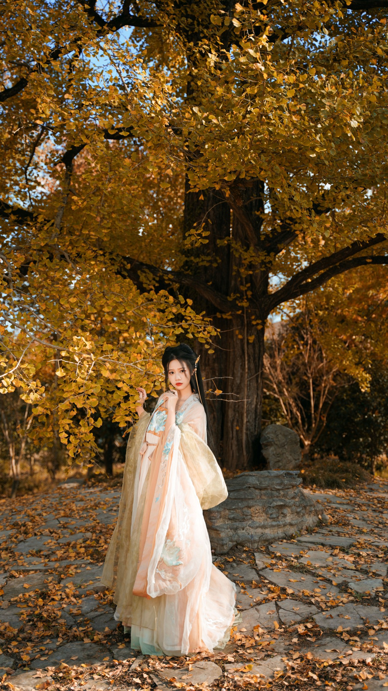 图片[4] - 橙子舒 - 《银杏树下》[39P] - 机器猫次元 - 机器猫次元