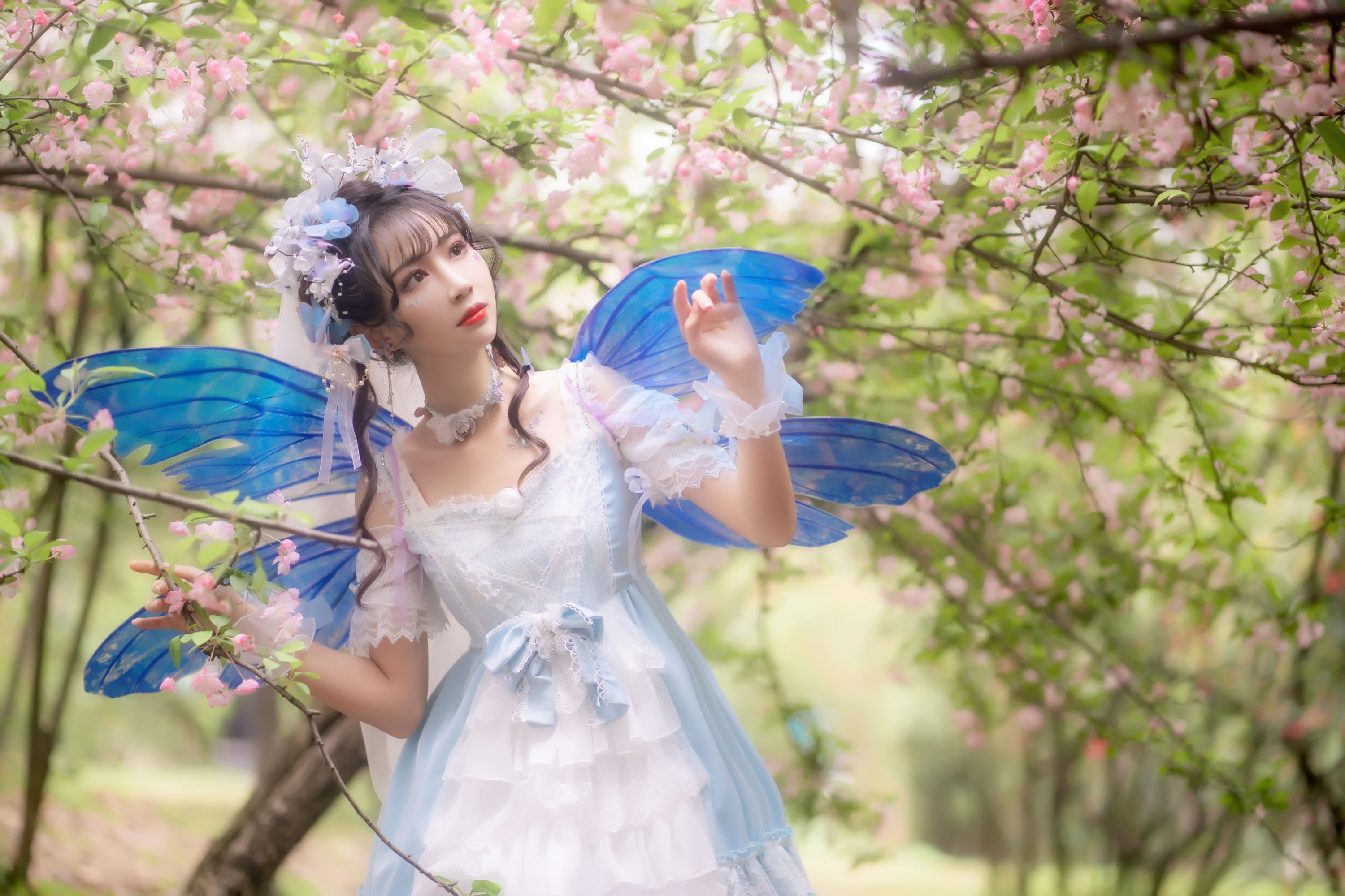 图片[3] - 绮罗生的小苏苏 - 《森之小精灵》[28P] - 机器猫次元 - 机器猫次元