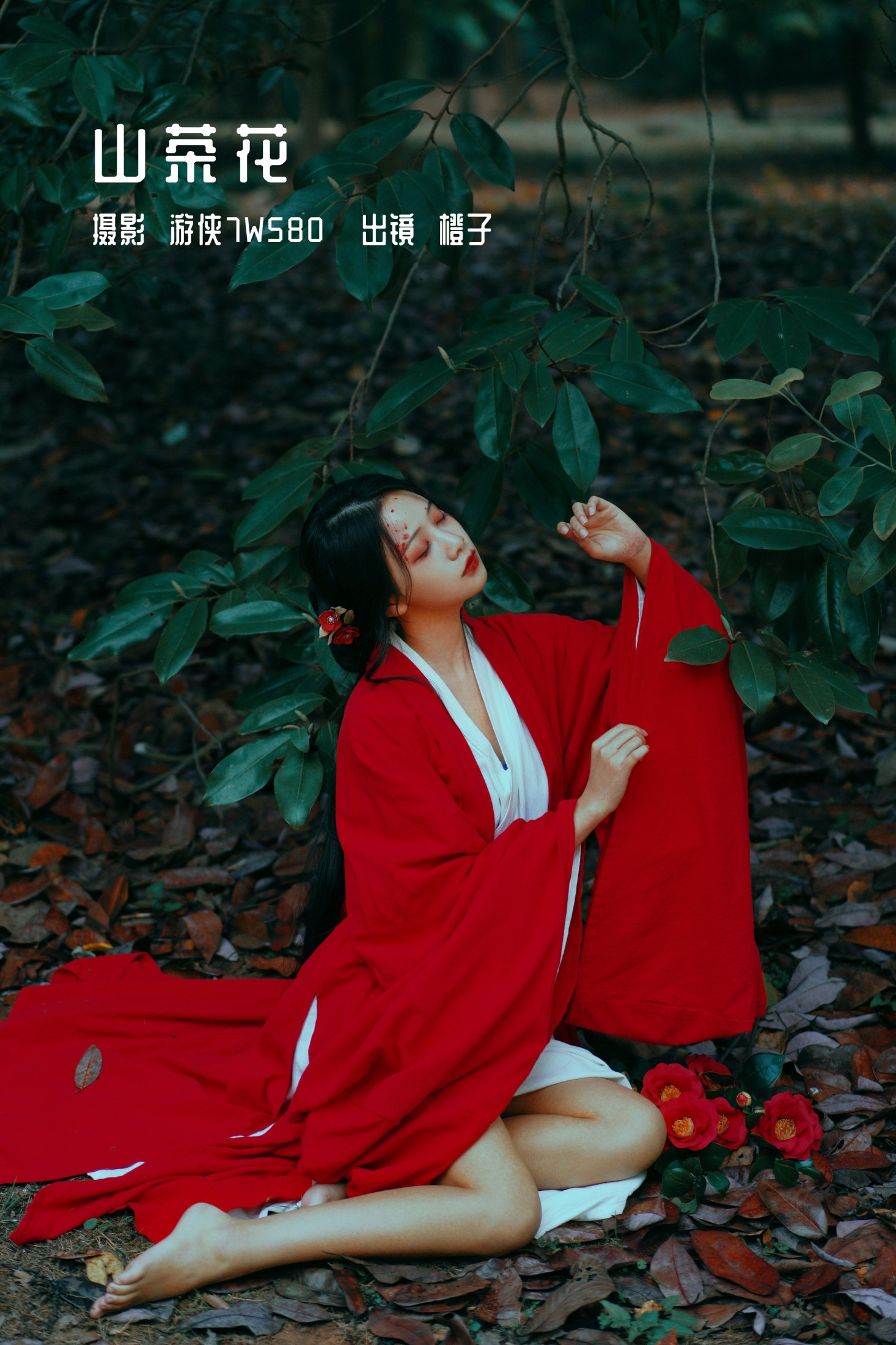 图片[1] - 橙子舒 - 《山茶花》[22P] - 机器猫次元 - 机器猫次元