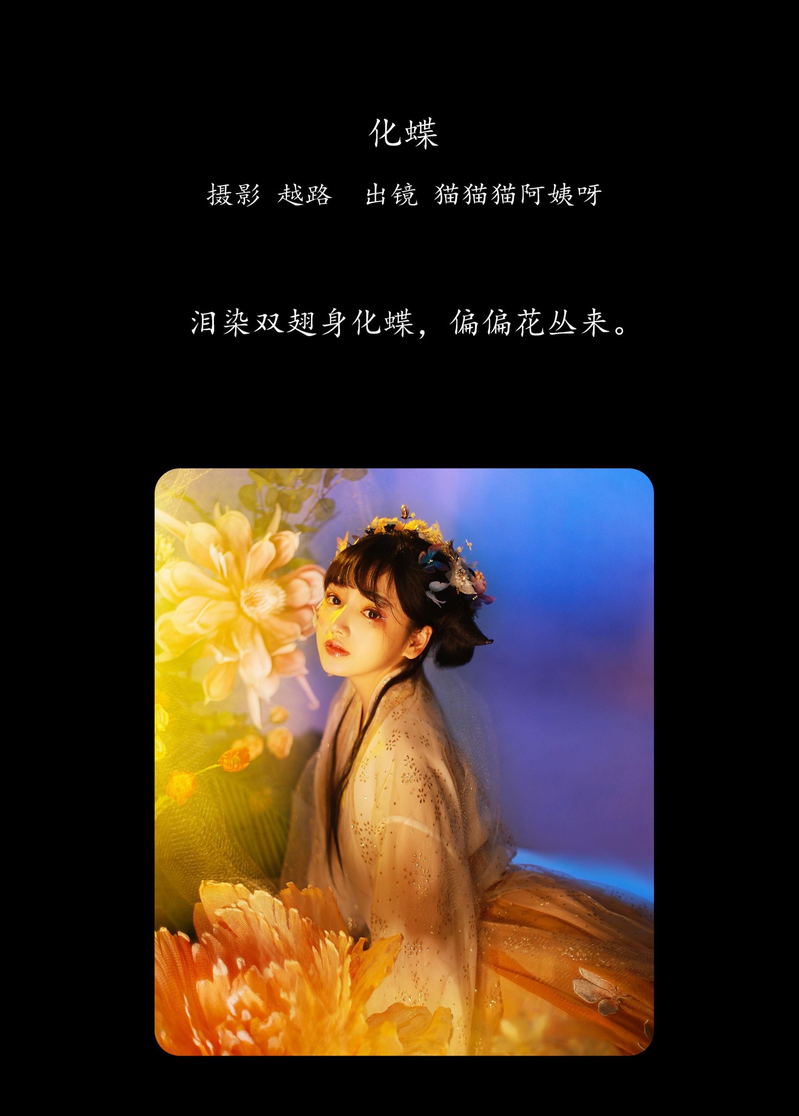 图片[2] - 猫猫猫阿姨呀 - 《化蝶》[24P] - 机器猫次元 - 机器猫次元