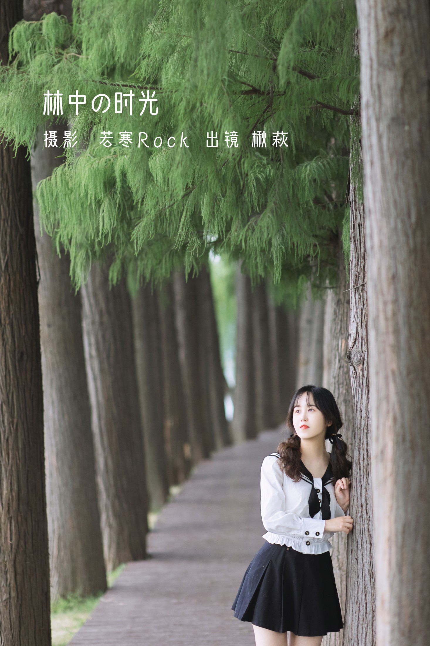 图片[1] - 楸萩 - 《林中の时光》[25P] - 机器猫次元 - 机器猫次元