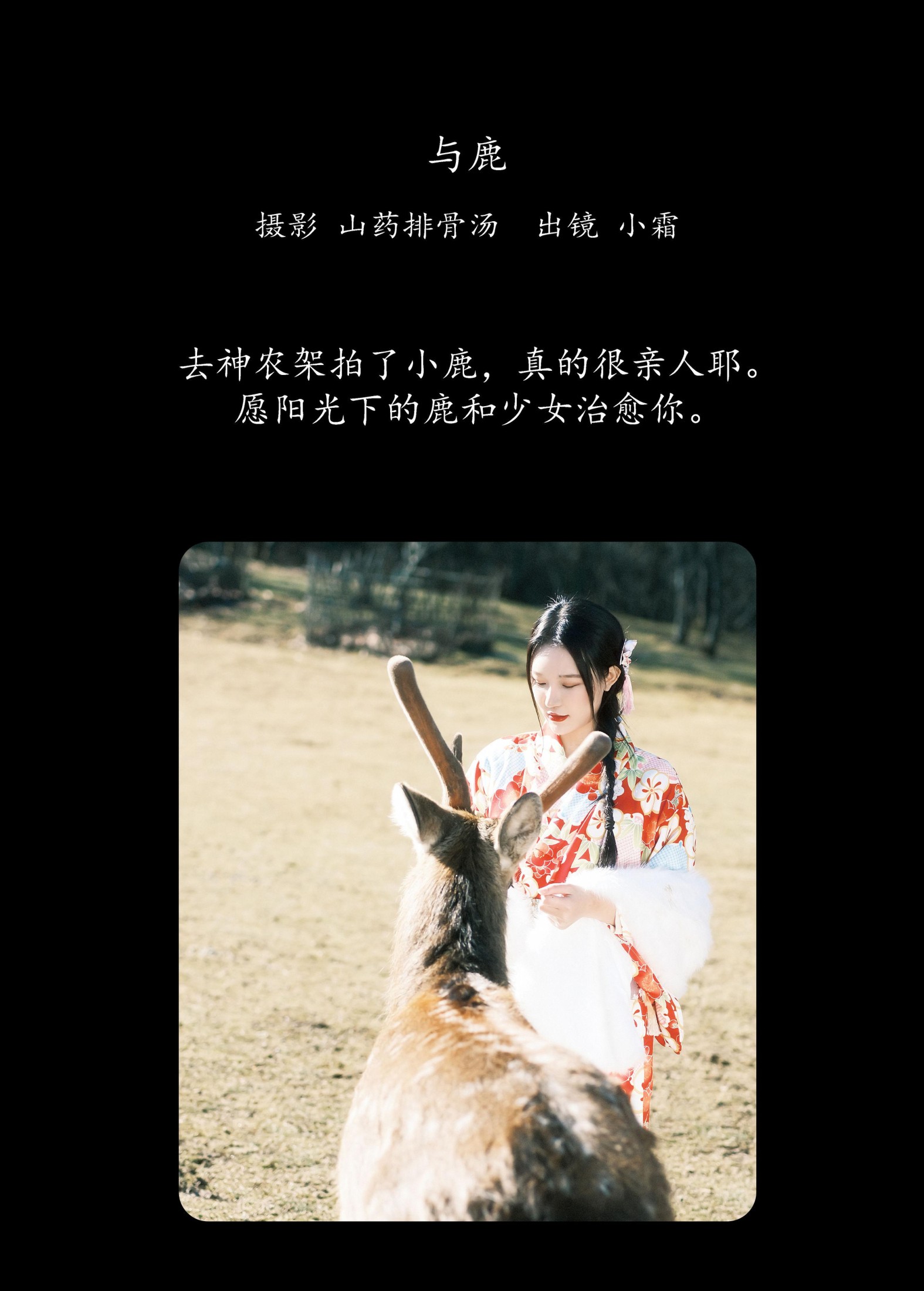 图片[2] - 小霜 - 《与鹿》[20P] - 机器猫次元 - 机器猫次元
