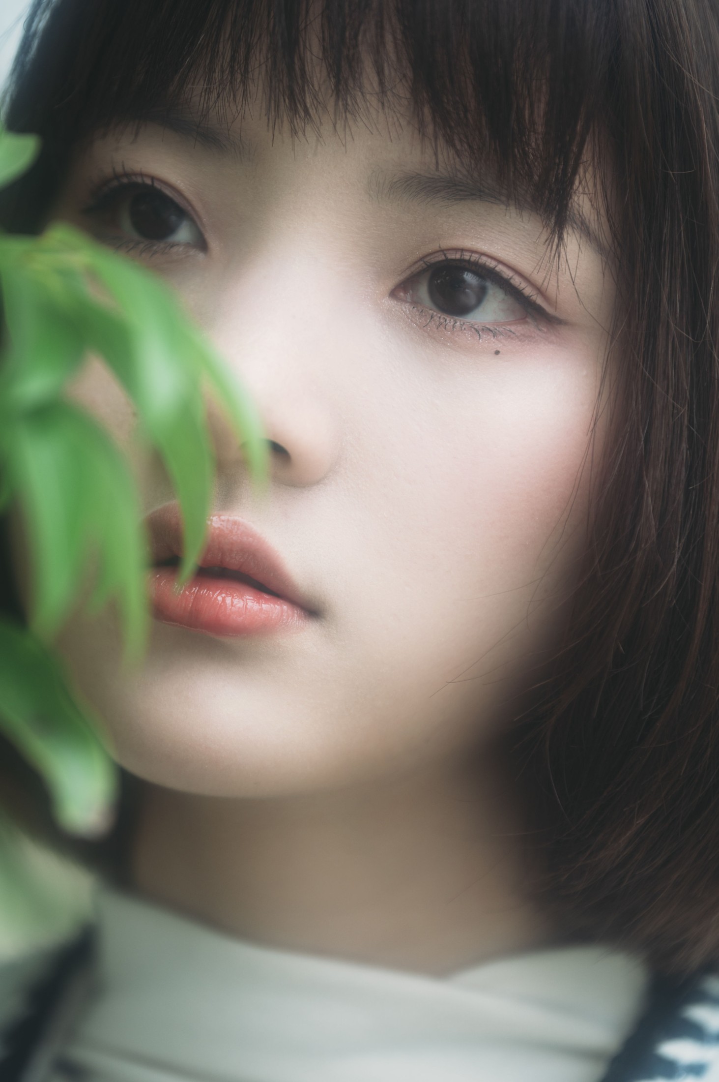 图片[4] - 阿喵的饭饭 - 《美梦与诗歌》[27P] - 机器猫次元 - 机器猫次元