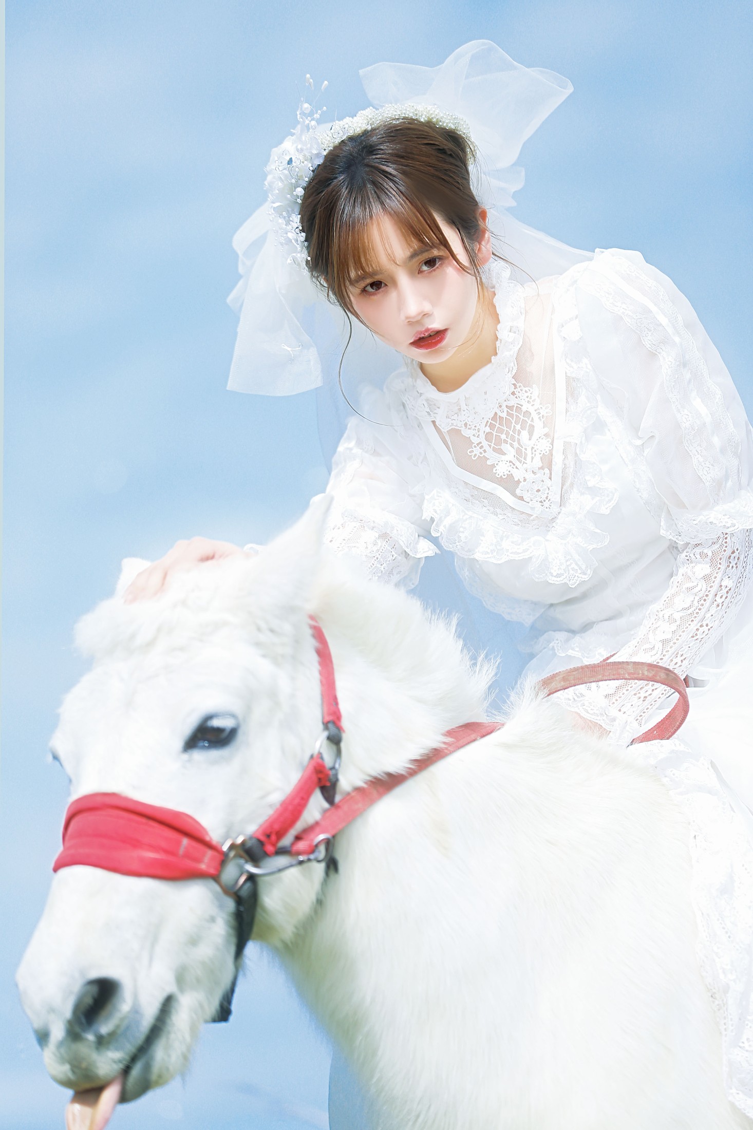 图片[7] - 林木婷子 - 《桑桑，我带你回家。》[23P] - 机器猫次元 - 机器猫次元