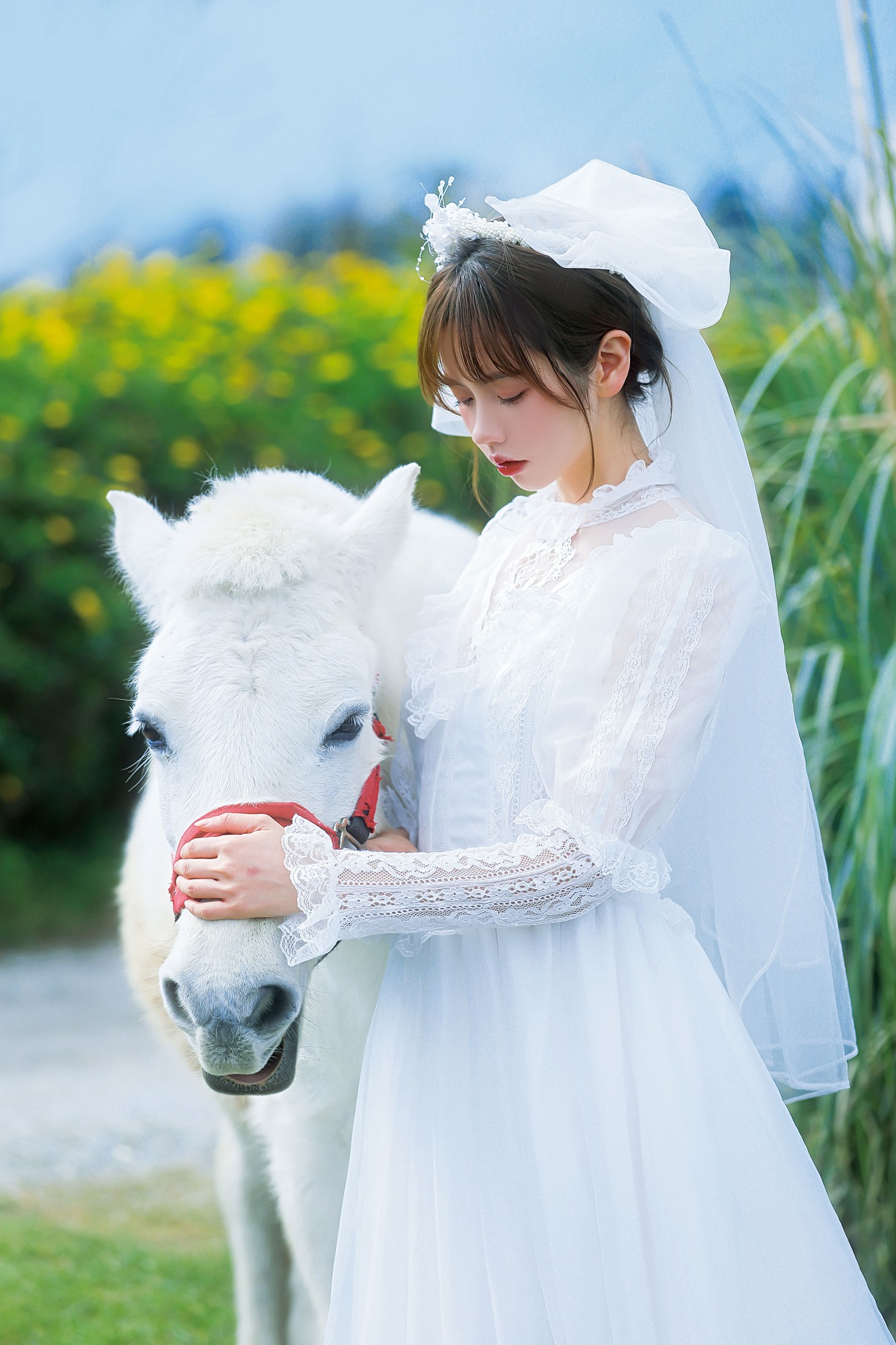 图片[5] - 林木婷子 - 《桑桑，我带你回家。》[23P] - 机器猫次元 - 机器猫次元