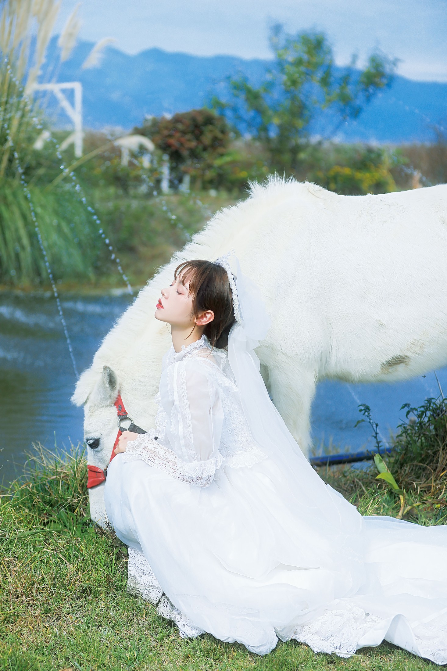 图片[8] - 林木婷子 - 《桑桑，我带你回家。》[23P] - 机器猫次元 - 机器猫次元