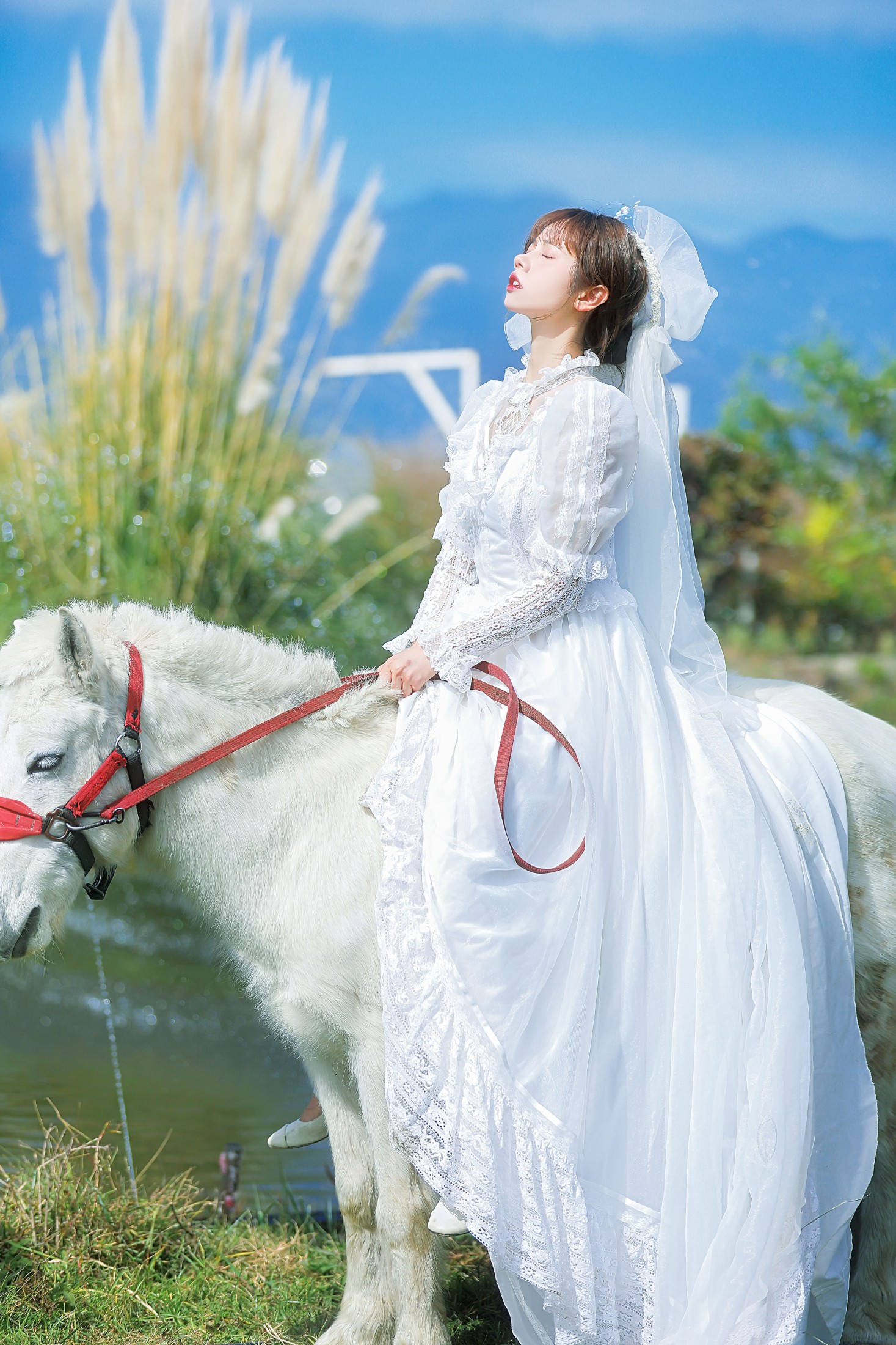 图片[3] - 林木婷子 - 《桑桑，我带你回家。》[23P] - 机器猫次元 - 机器猫次元