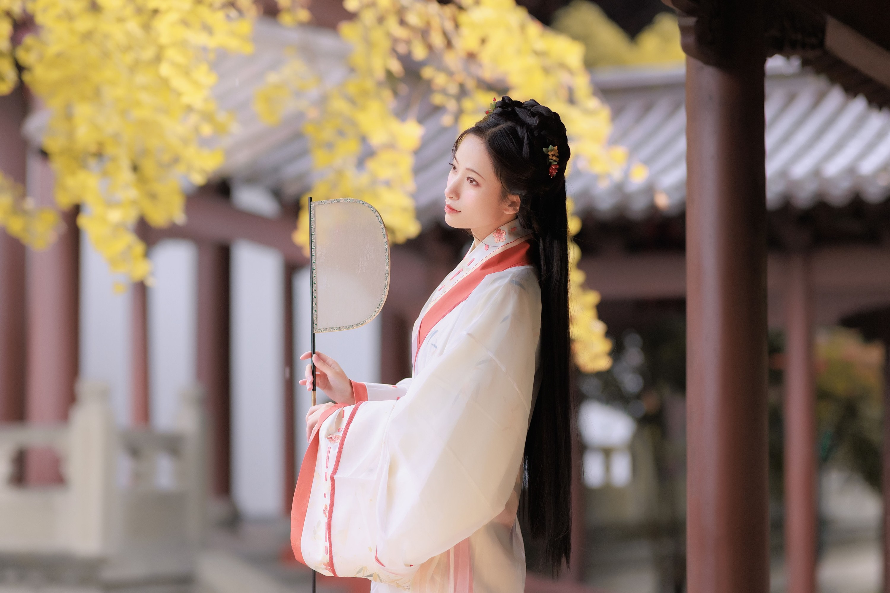 图片[3] - 眸小妖 - 《雨中银杏》[24P] - 机器猫次元 - 机器猫次元