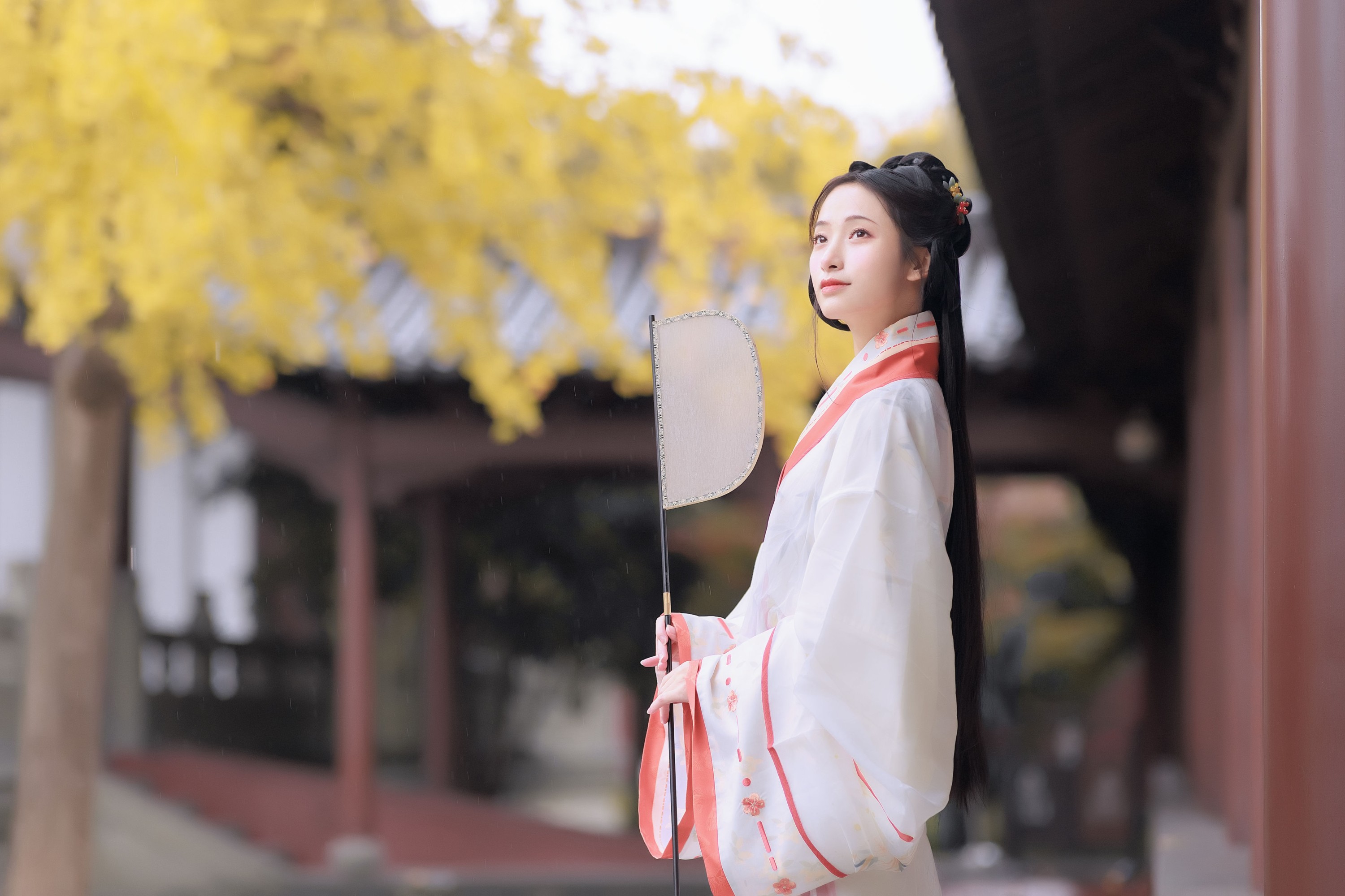 图片[6] - 眸小妖 - 《雨中银杏》[24P] - 机器猫次元 - 机器猫次元