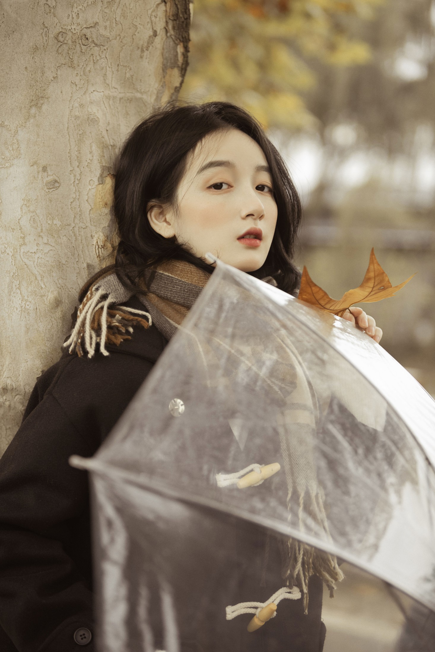 图片[8] - 肖绿叶 - 《漫步梧桐林》[26P] - 机器猫次元 - 机器猫次元
