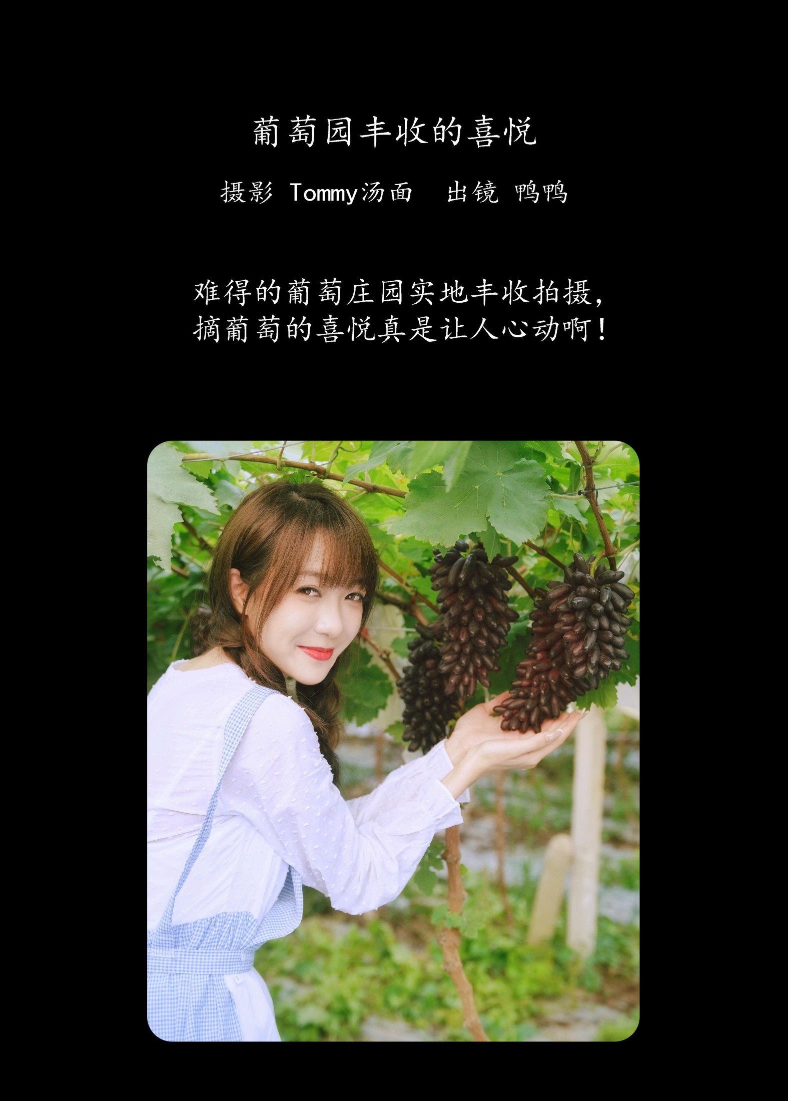 图片[2] - 鸭鸭 - 《葡萄园丰收的喜悦》[24P] - 机器猫次元 - 机器猫次元