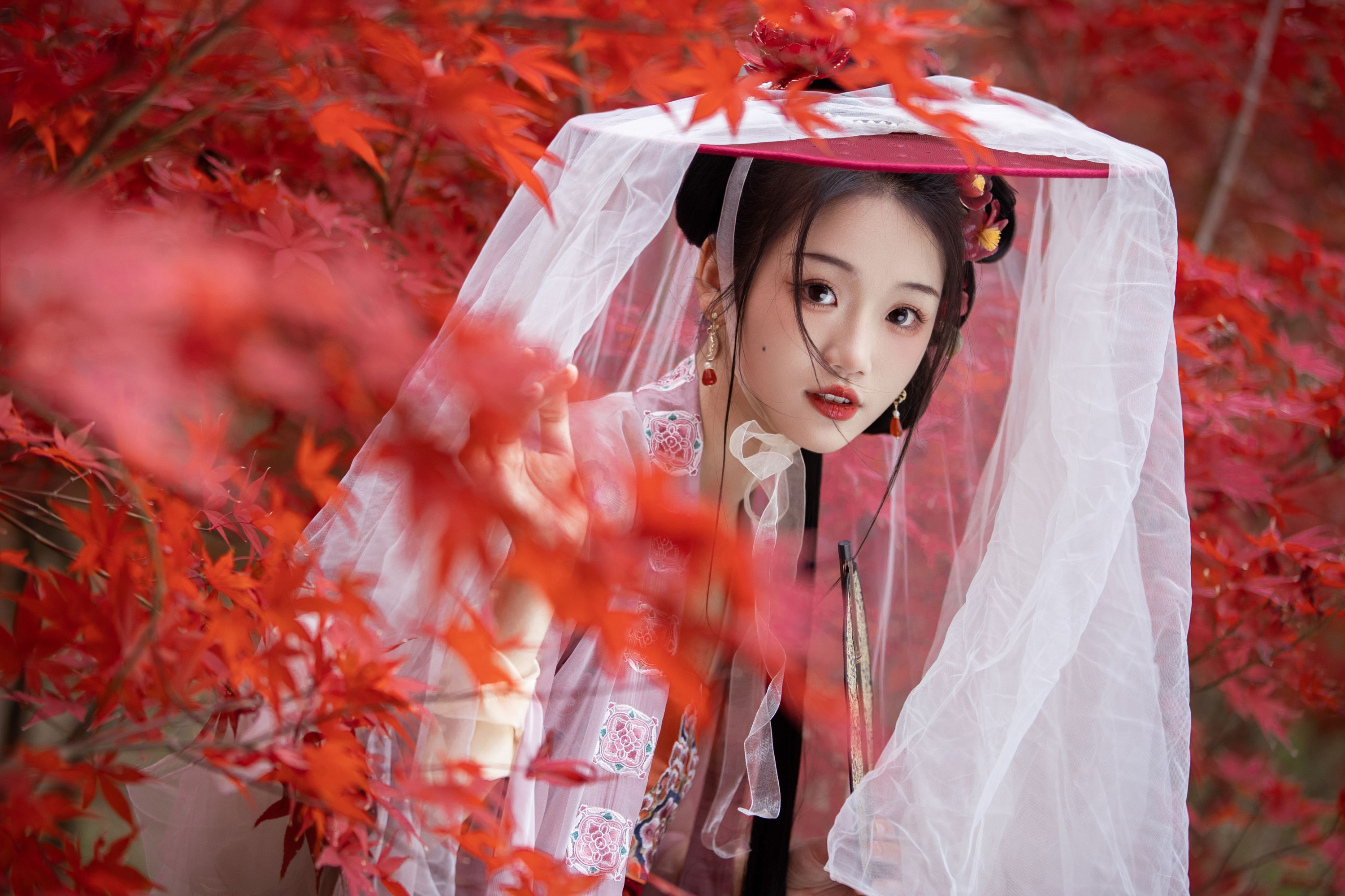 图片[6] - 晚江亭 - 《晚枫歌》[34P] - 机器猫次元 - 机器猫次元