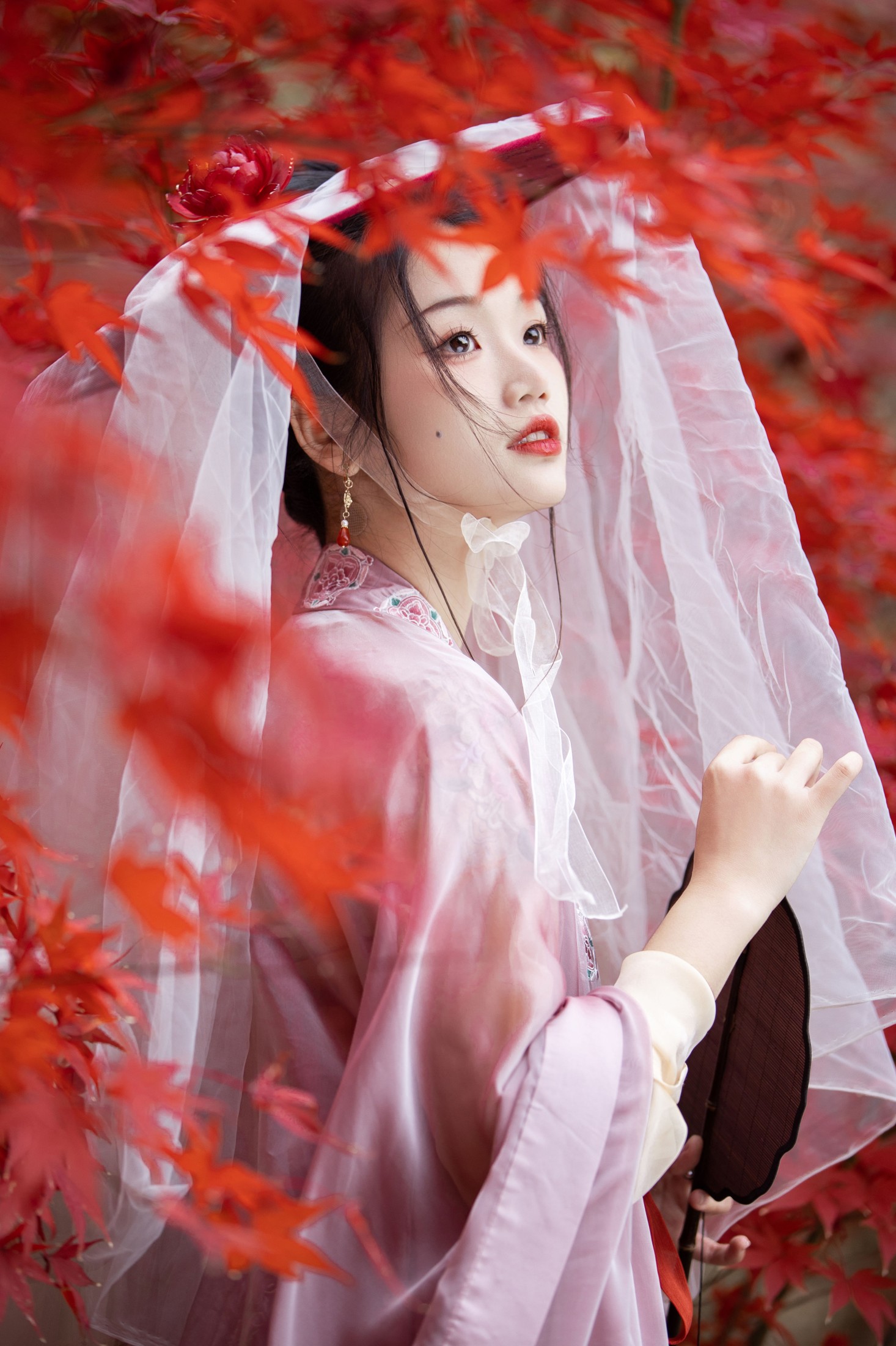 图片[7] - 晚江亭 - 《晚枫歌》[34P] - 机器猫次元 - 机器猫次元