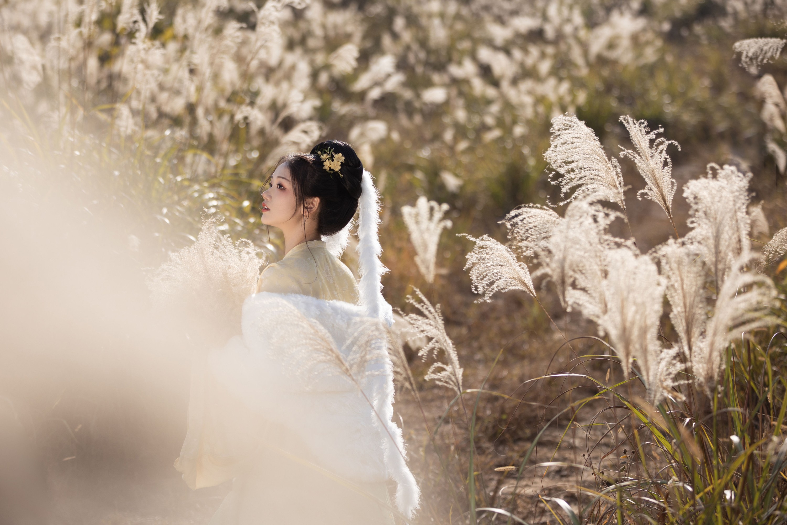 图片[7] - 晚江亭 - 《芦苇晚风鸣》[26P] - 机器猫次元 - 机器猫次元