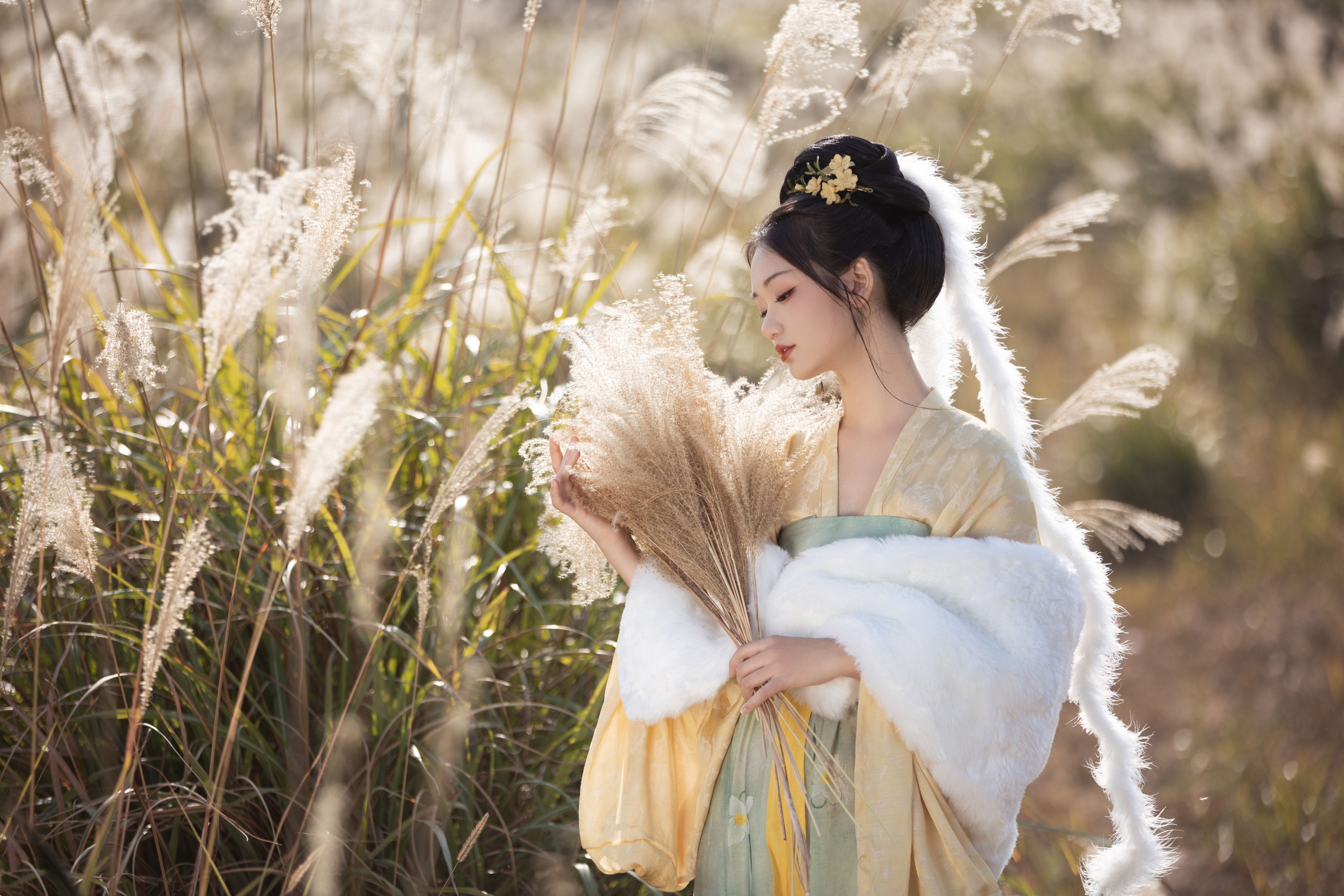图片[3] - 晚江亭 - 《芦苇晚风鸣》[26P] - 机器猫次元 - 机器猫次元