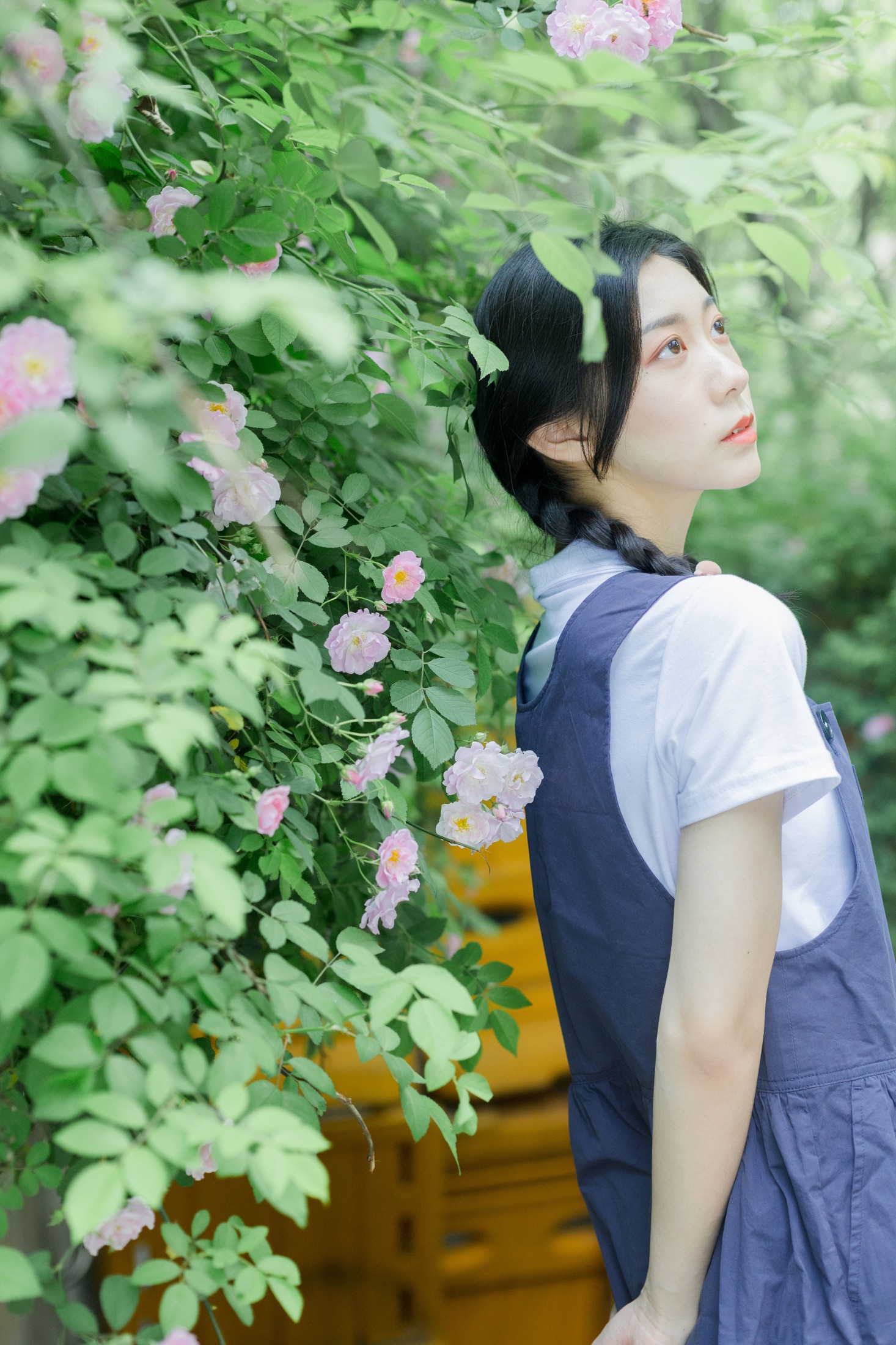 图片[6] - 饲猫少女- 《除了春天和蔷薇》[26P] - 机器猫次元 - 机器猫次元